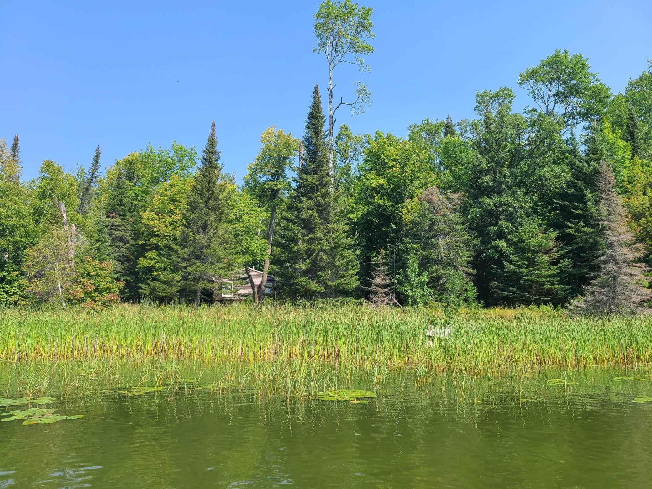 10281 Sullivan Bay Property Photo 33