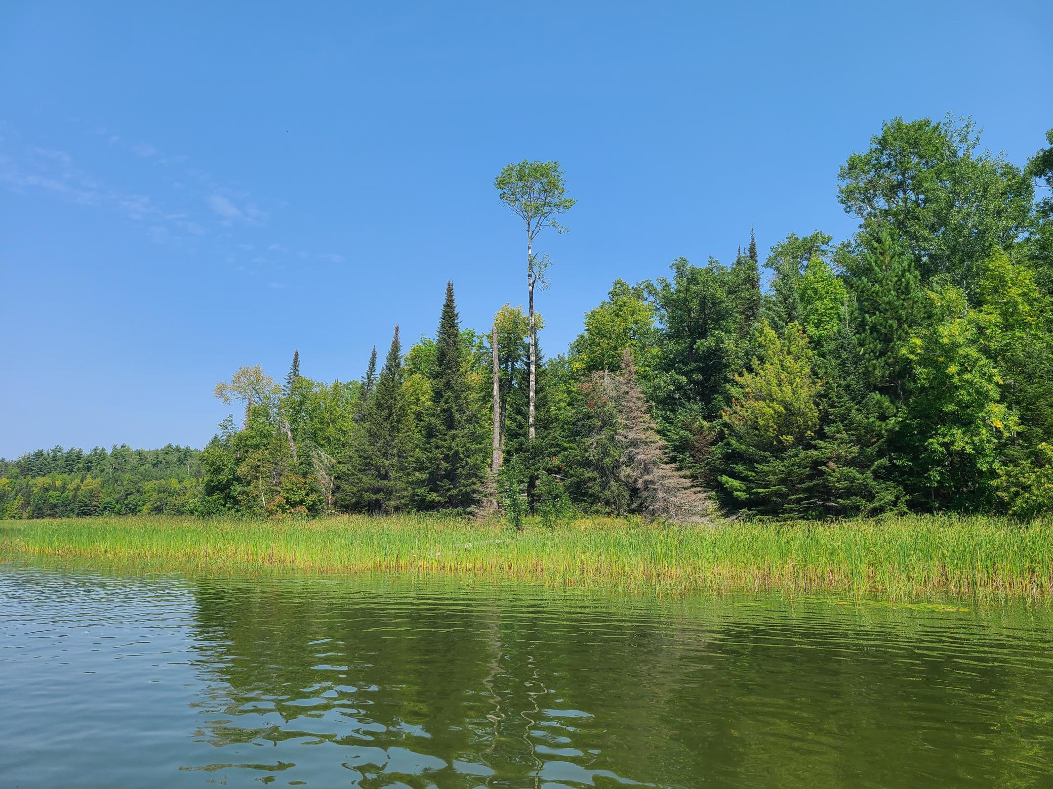 10281 Sullivan Bay Property Photo 34