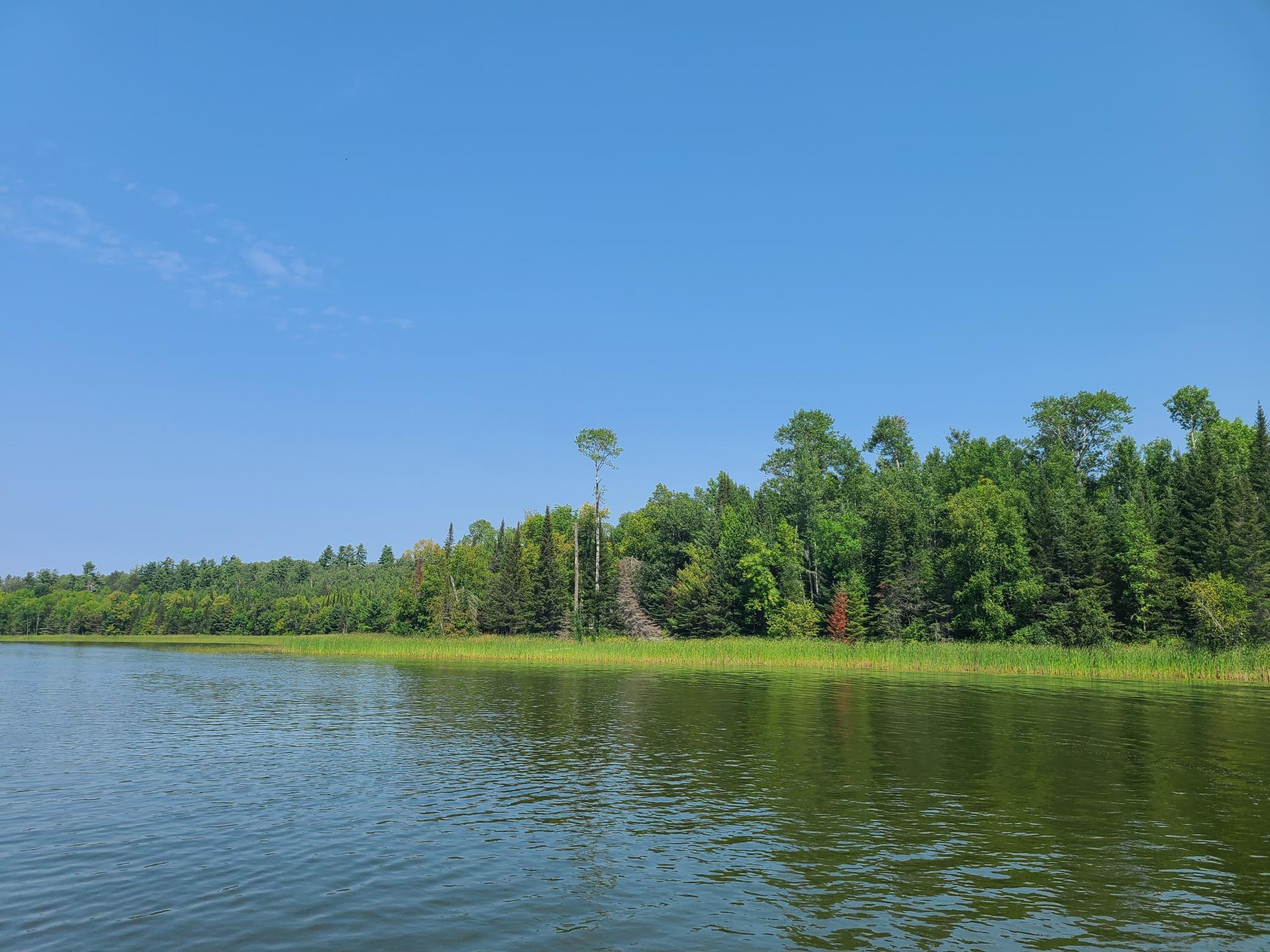 10281 Sullivan Bay Property Photo 35