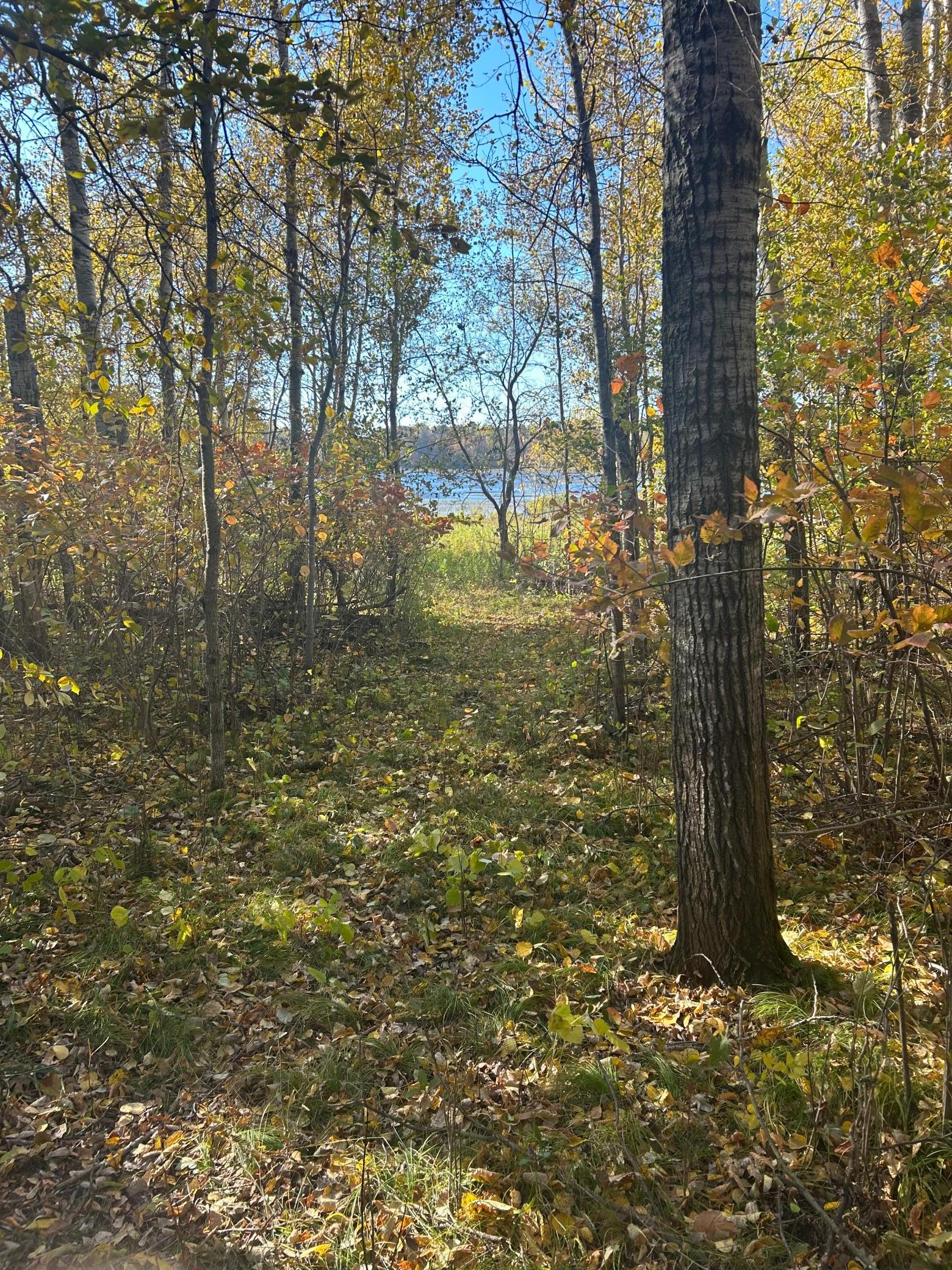 39xxx Osage Drive