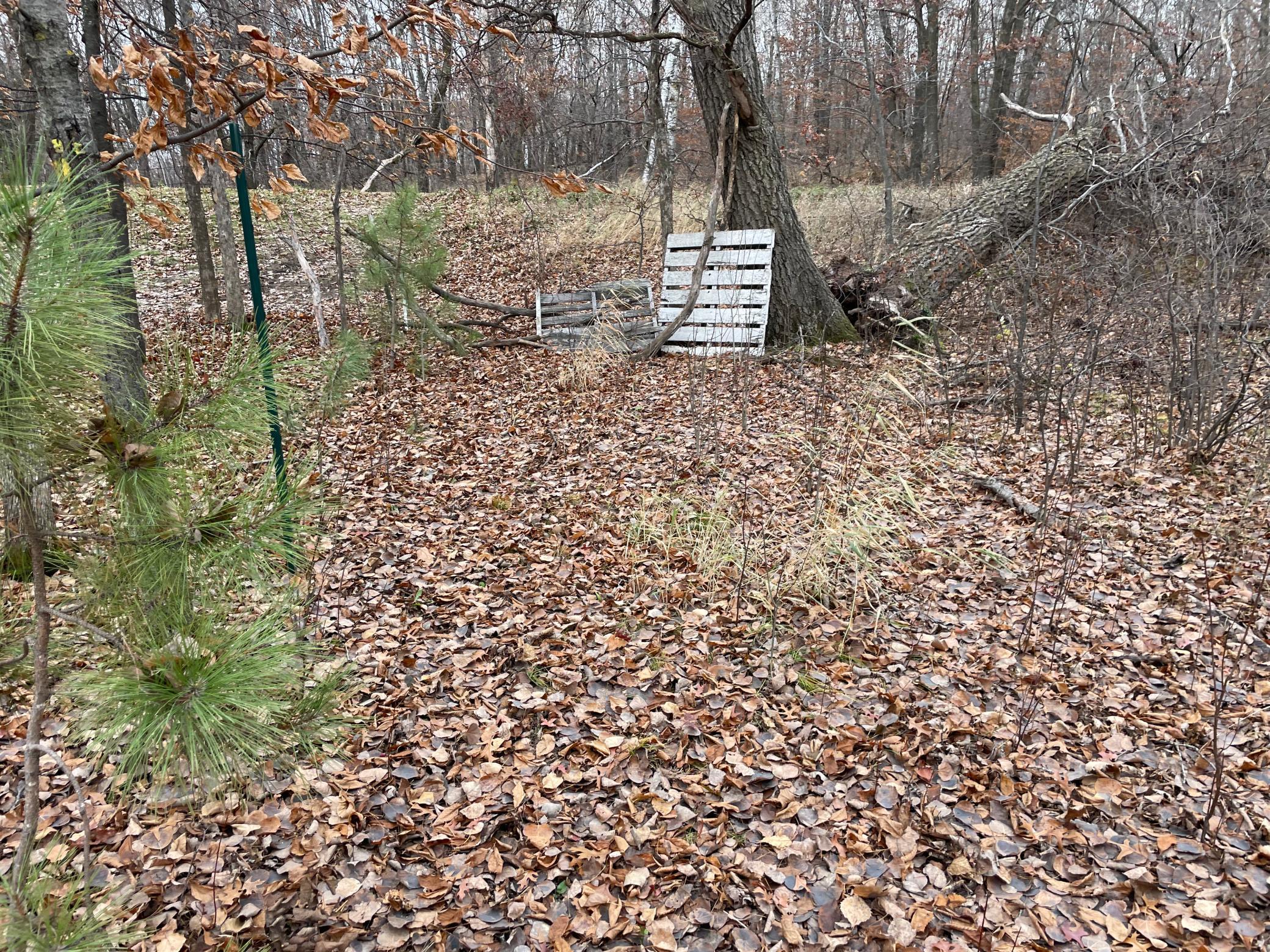 39xxx Osage Drive Property Photo 18