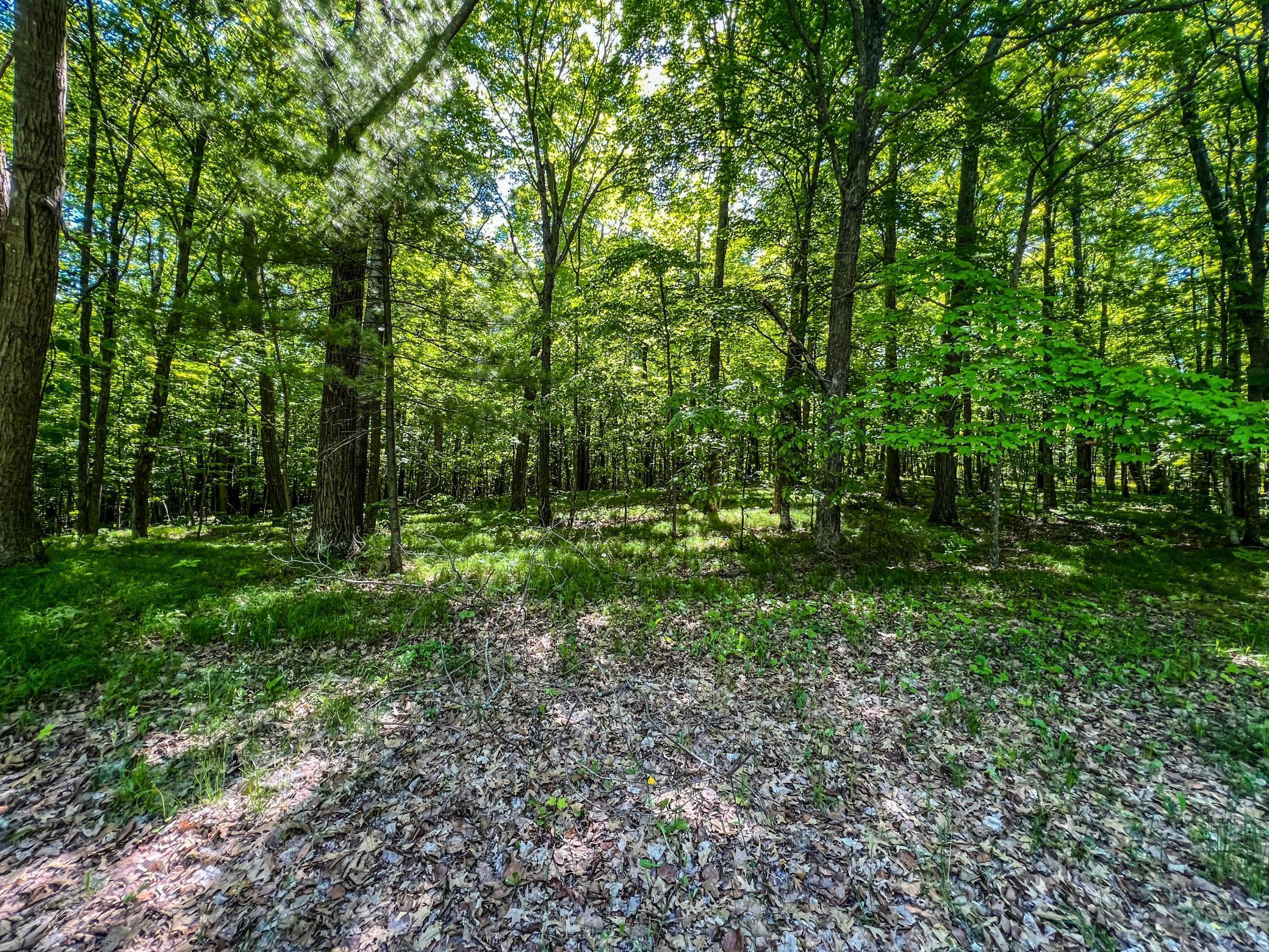 Tbd Tract A Damsgaard Road Property Photo