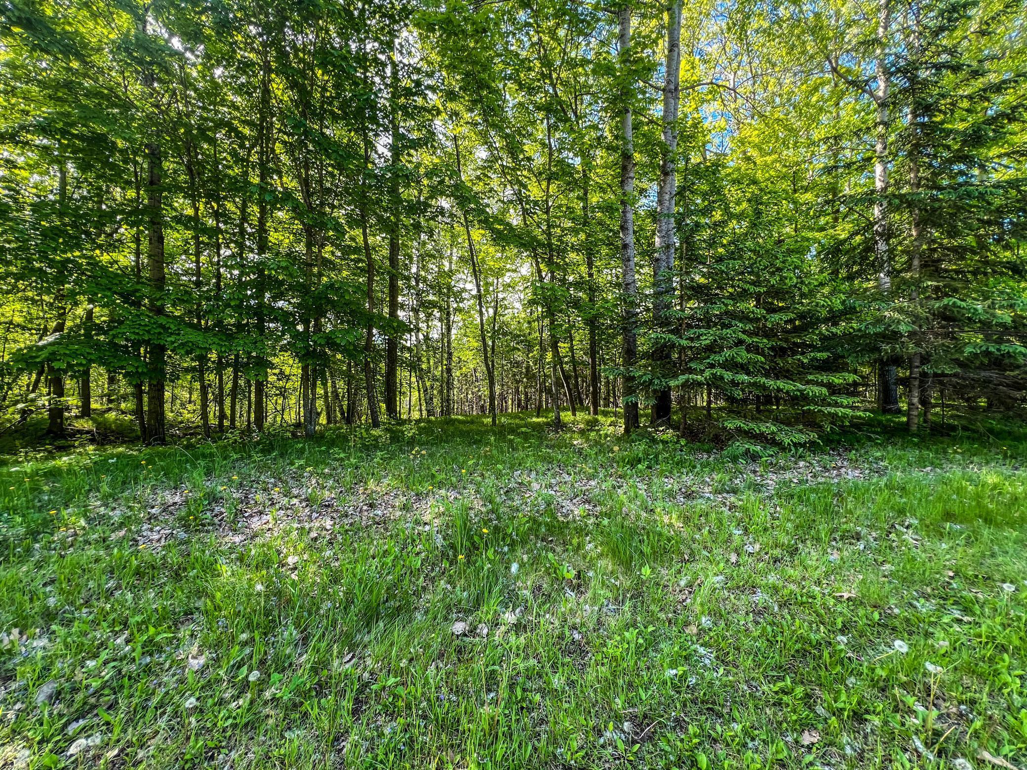Tbd Tract D Damsgaard Road Property Photo