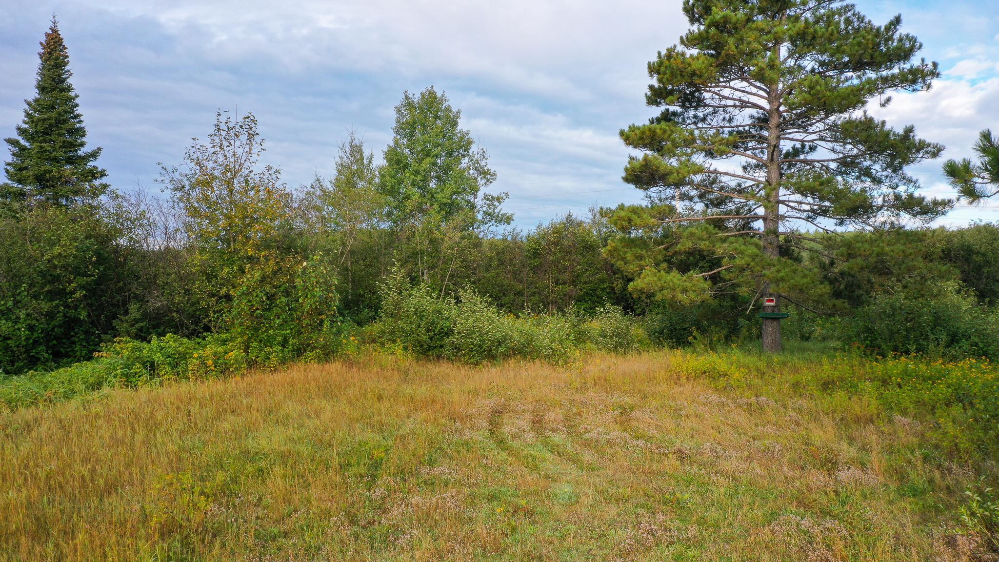 6501 Highway 169 Property Photo 3