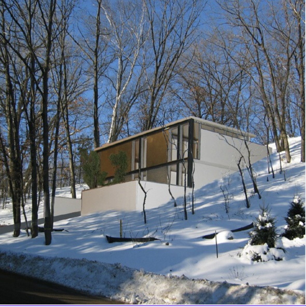 1408 Alpine Pass Property Photo 2