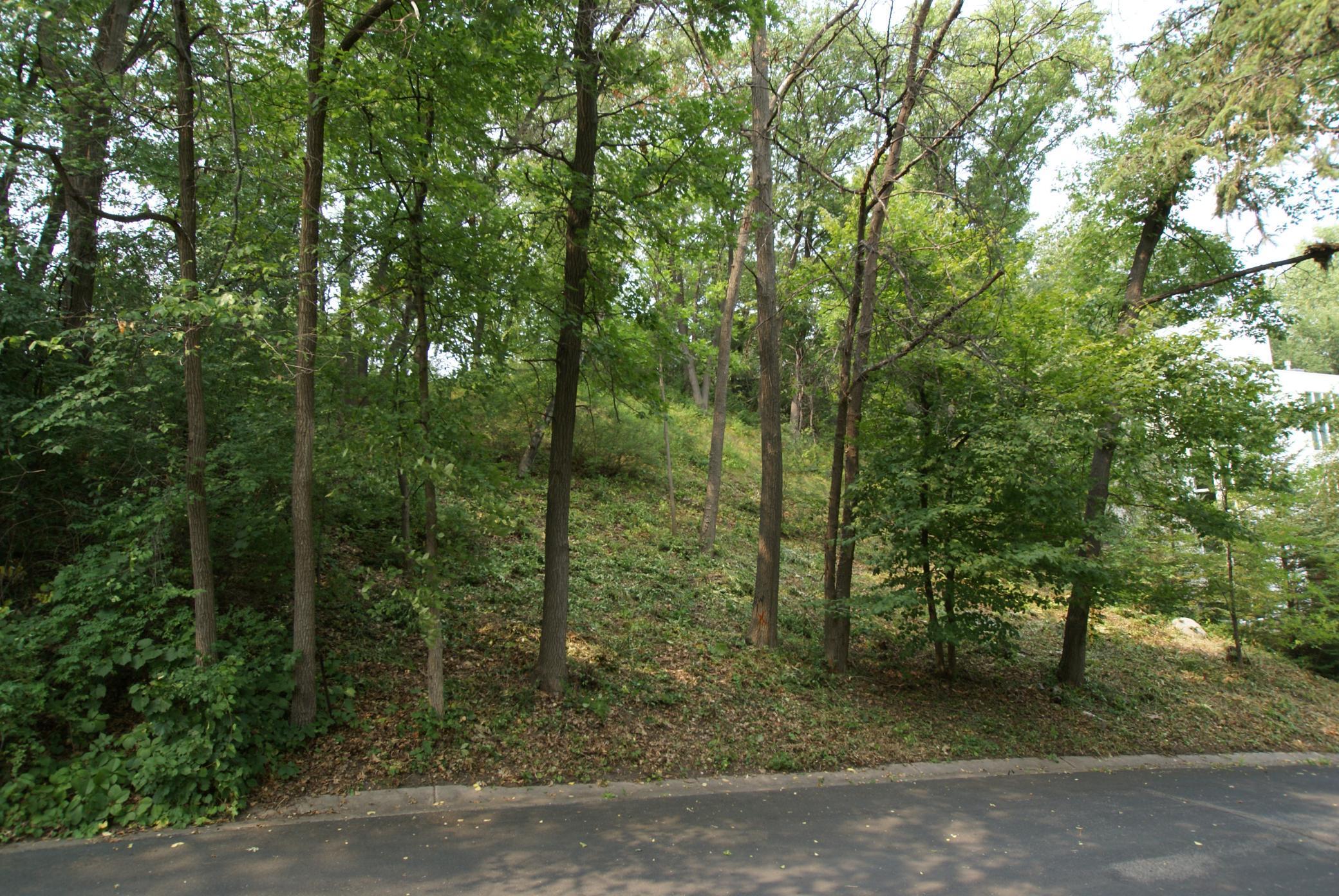 1408 Alpine Pass Property Photo 3