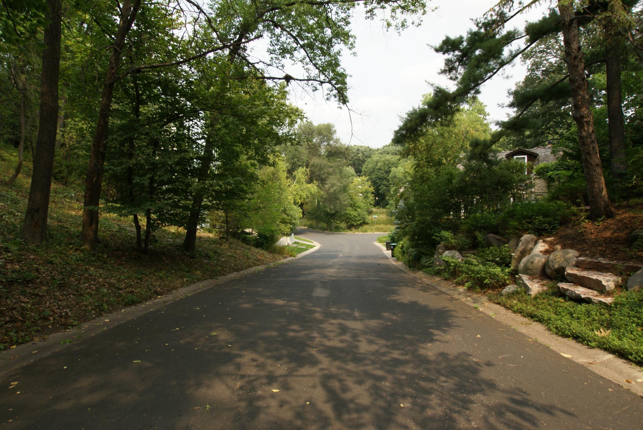 1408 Alpine Pass Property Photo 5