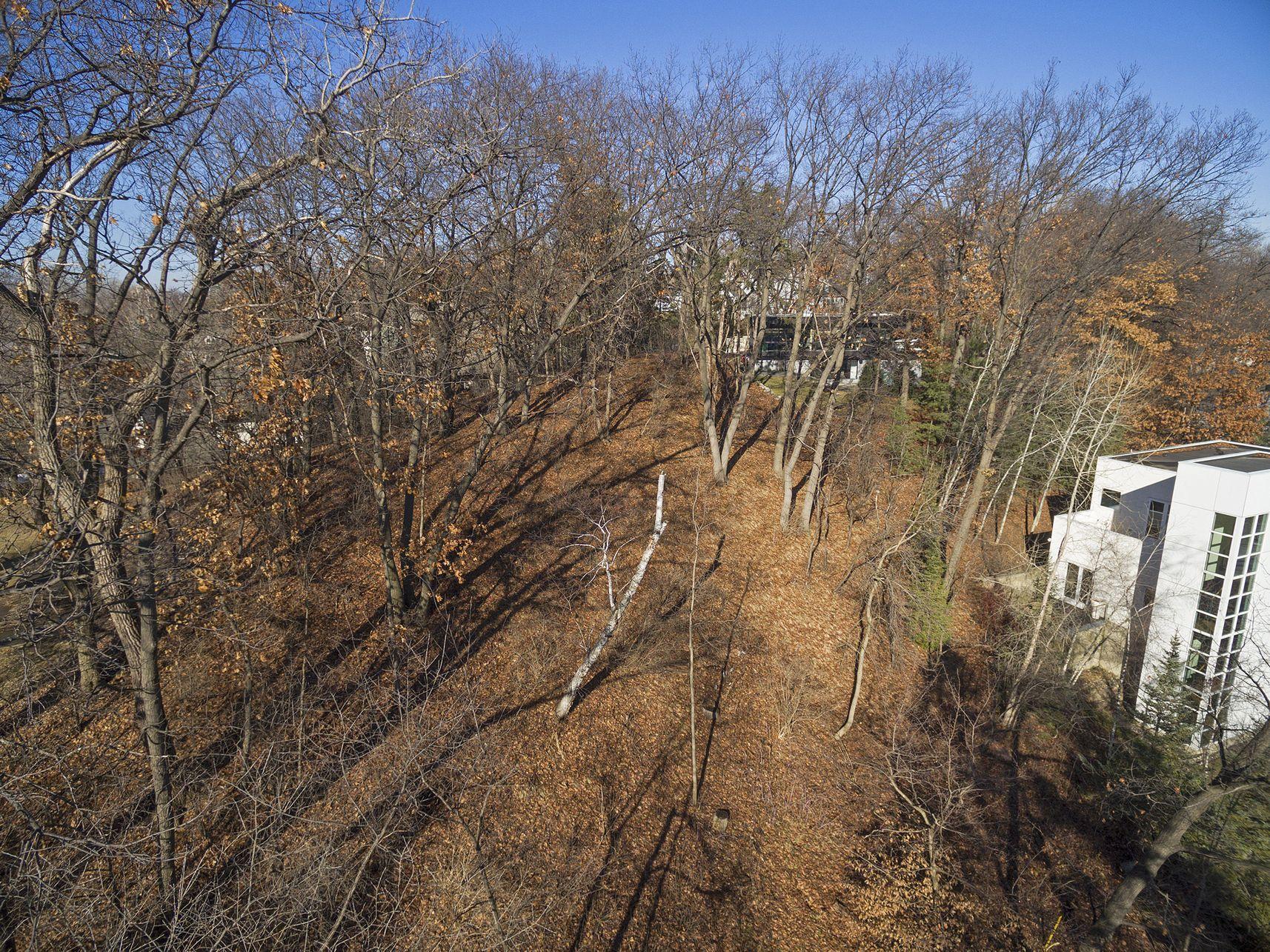 1408 Alpine Pass Property Photo 18