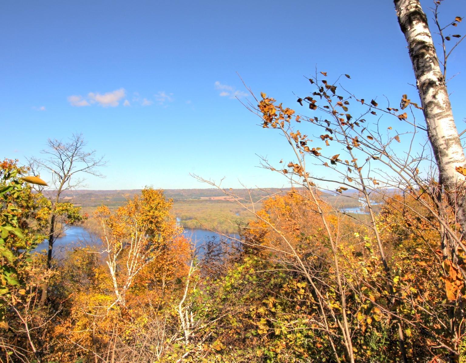 Lot 19 215th Avenue Property Photo 10