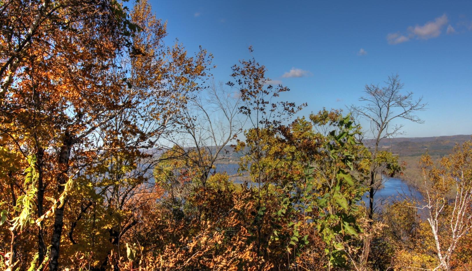 Lot 19 215th Avenue Property Photo 13