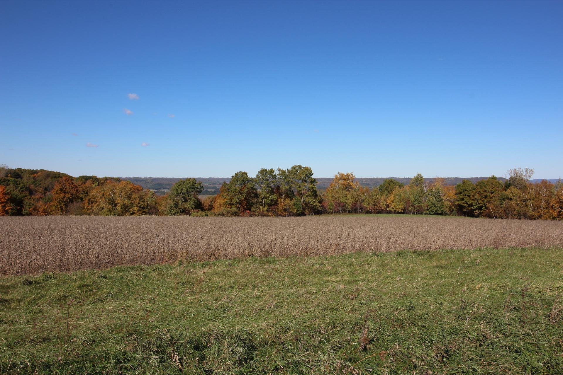 Lot 19 215th Avenue Property Photo 15