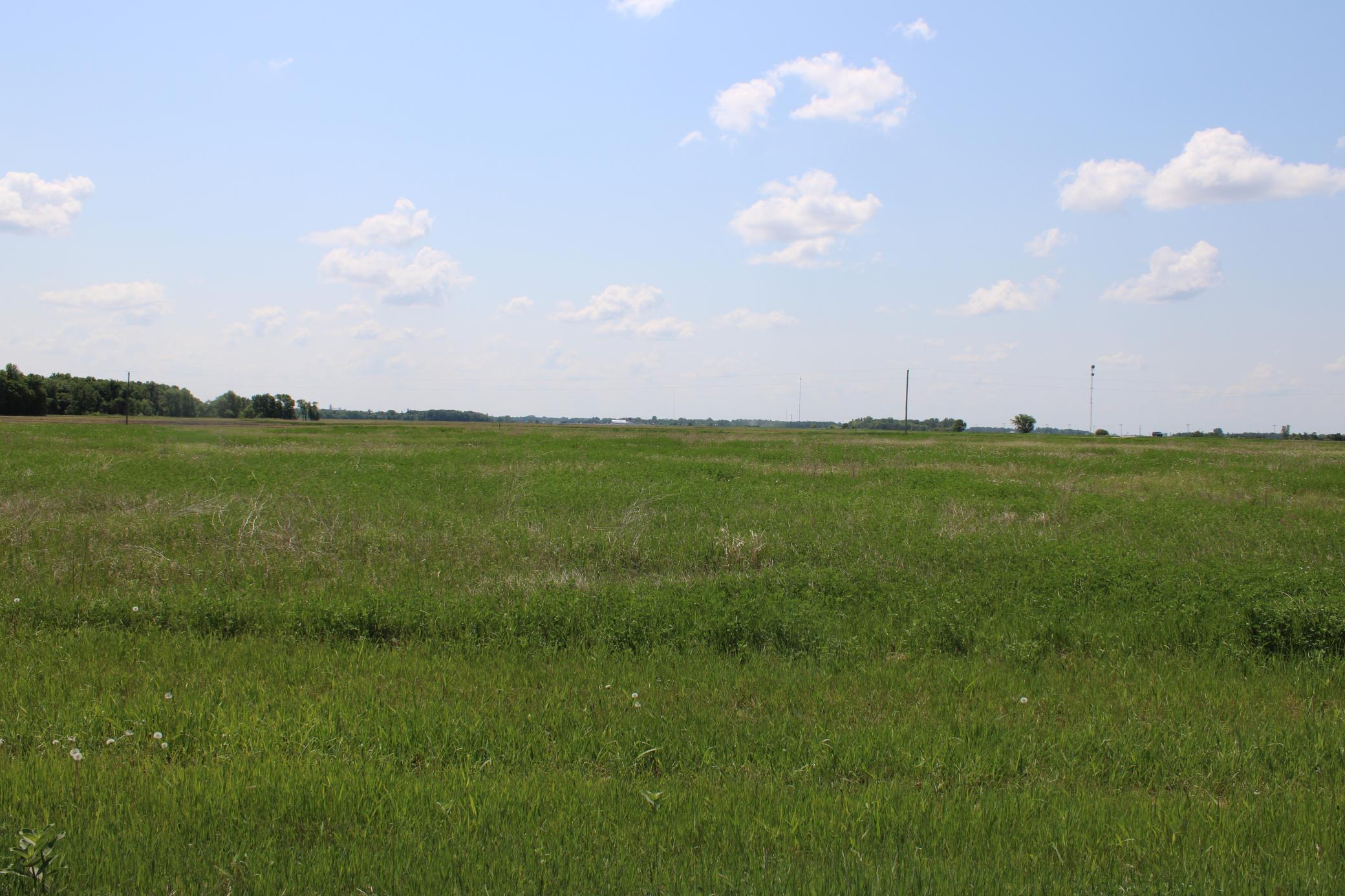 Lot 4 Willchard Drive Property Photo 1