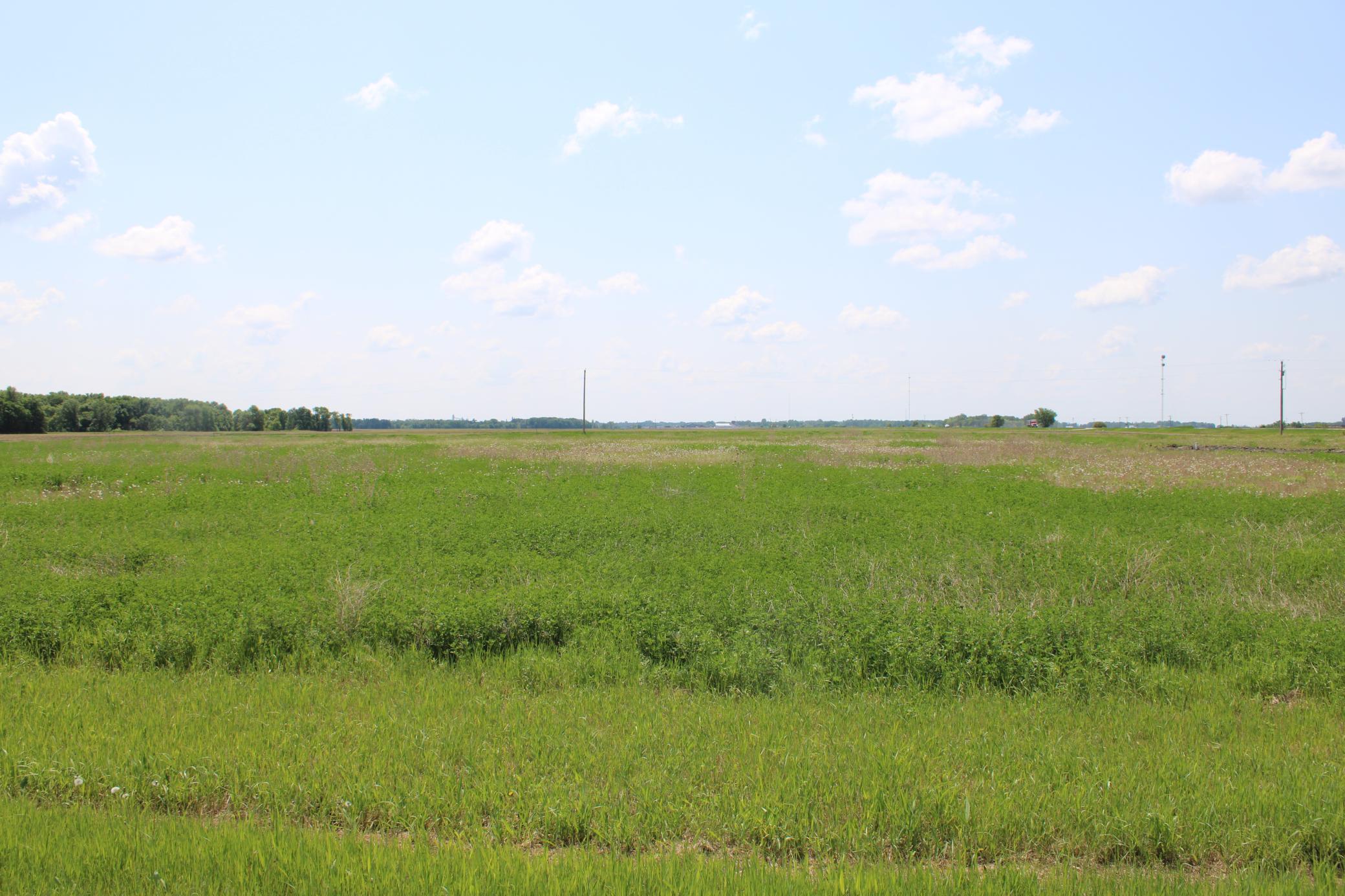 Lot 5 Willchard Drive