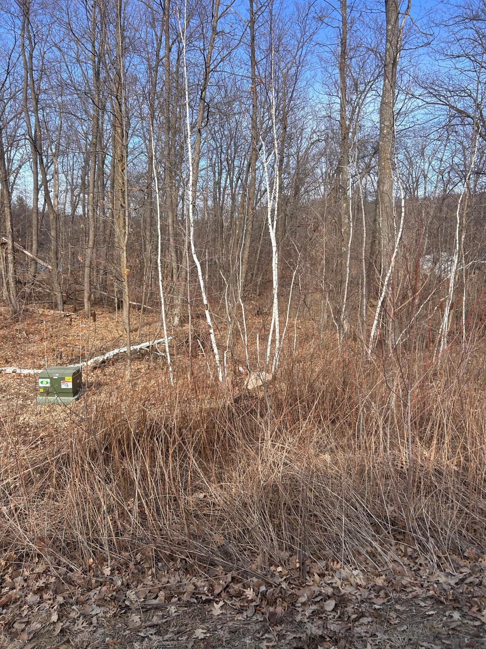 Xxx Lake Camile Rd Property Photo 1