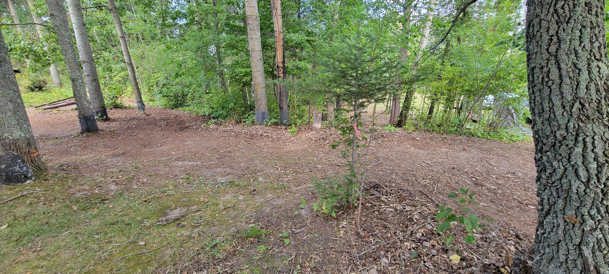 7280 County Road 8 Ne Property Photo 10