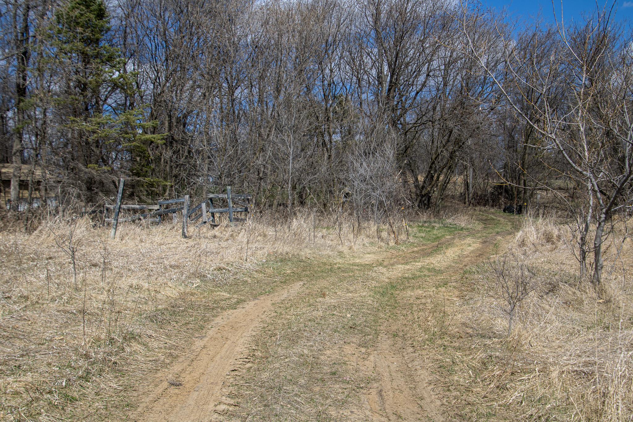 Xxx Scandia Trail N Property Photo 9