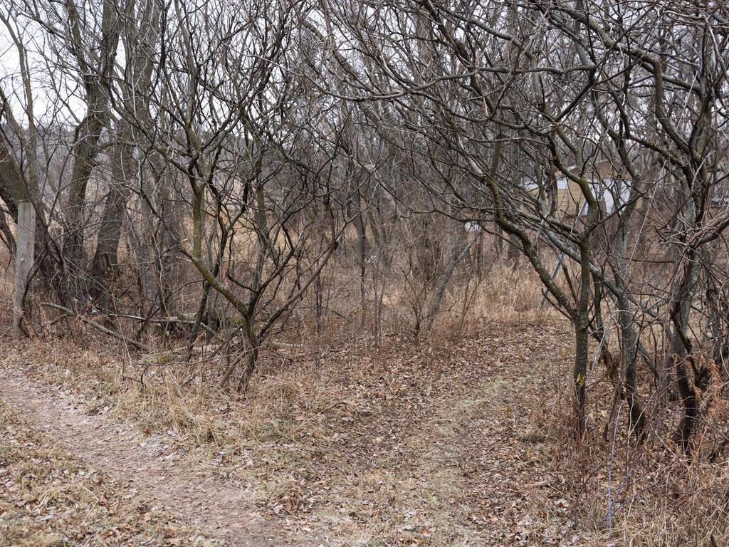 Xxx Scandia Trail N Property Photo 23
