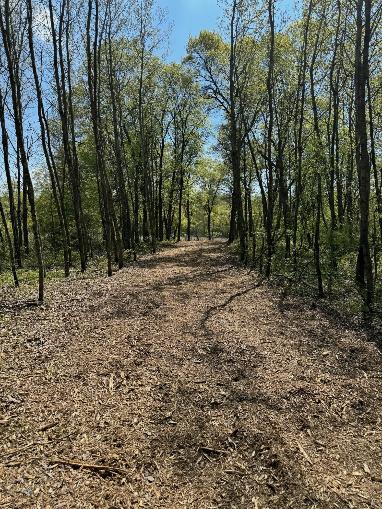 Lot 12 Crystal Lake Drive Property Photo 2