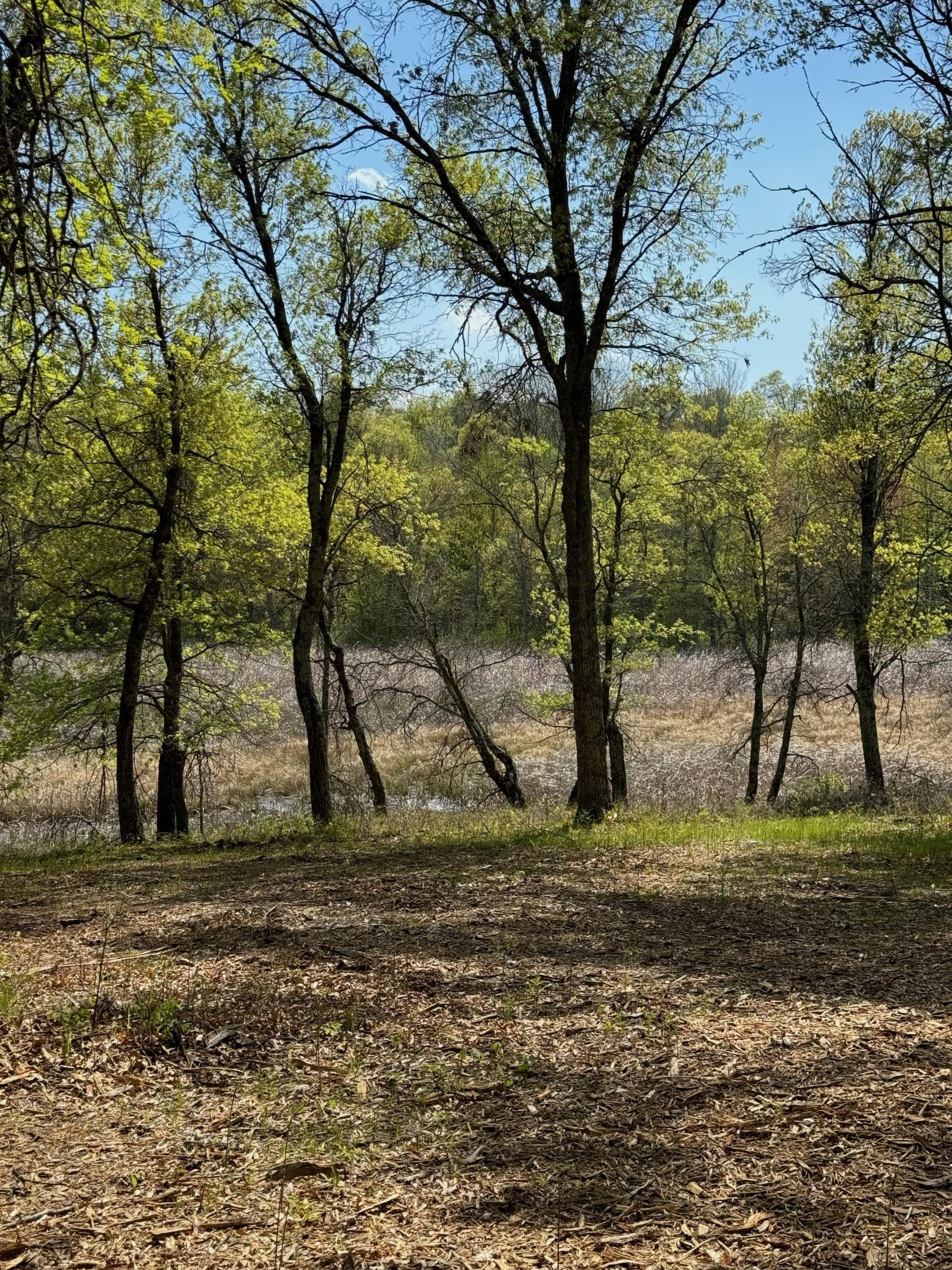 Lot 12 Crystal Lake Drive Property Photo 3