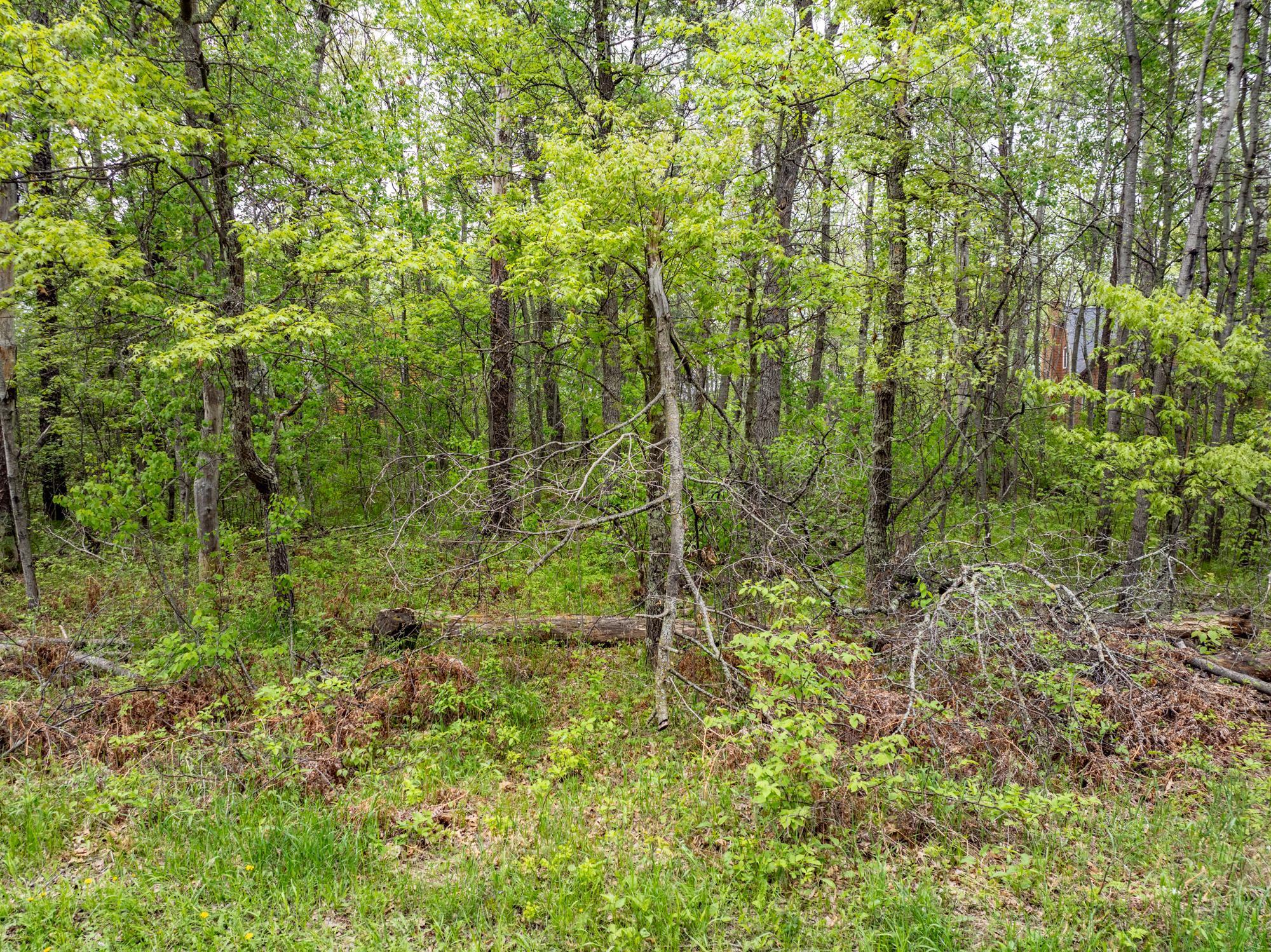 Tbd Dodder Lane Property Photo 16