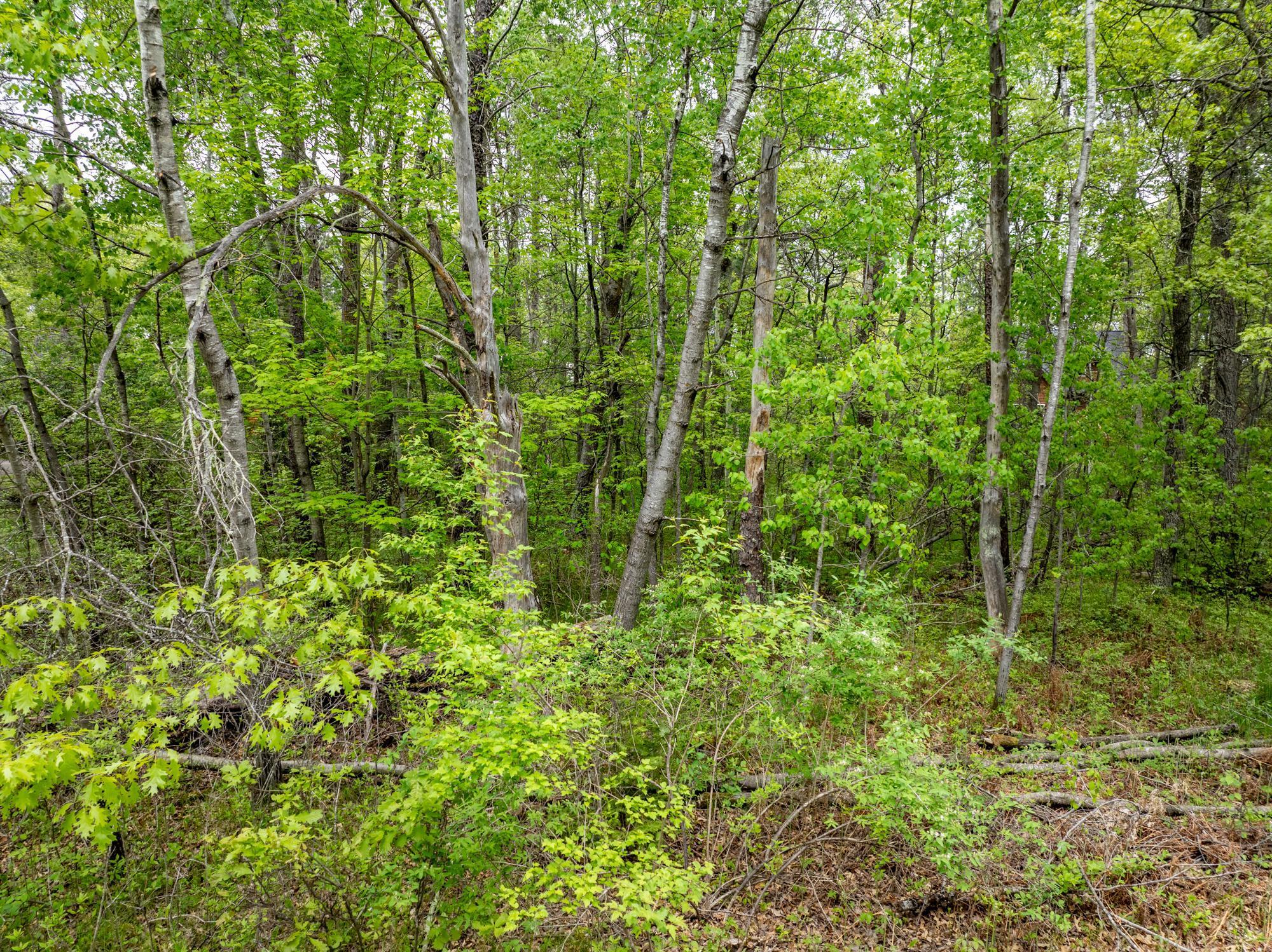 Tbd Dodder Lane Property Photo 17