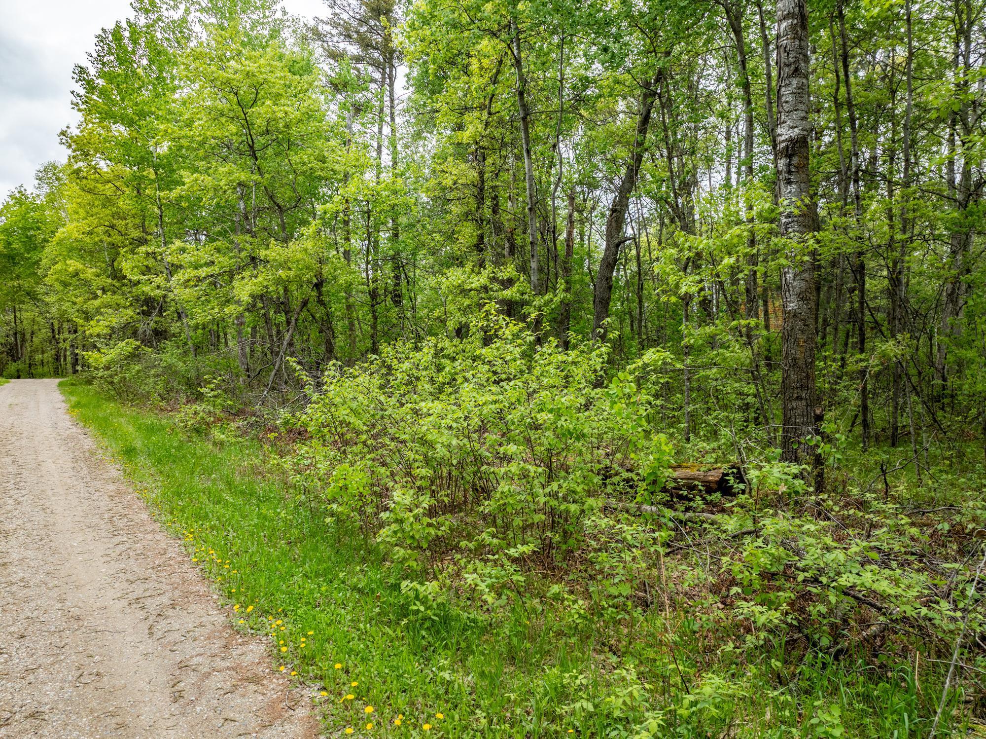 Tbd Dodder Lane Property Photo 18