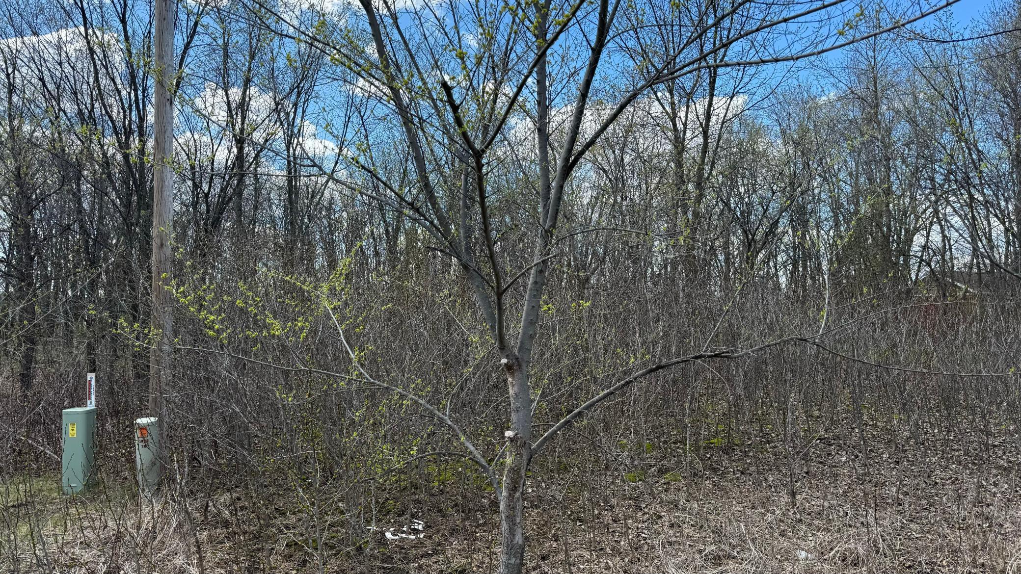 Lot 15 Sunset Strip Nw Property Photo 39