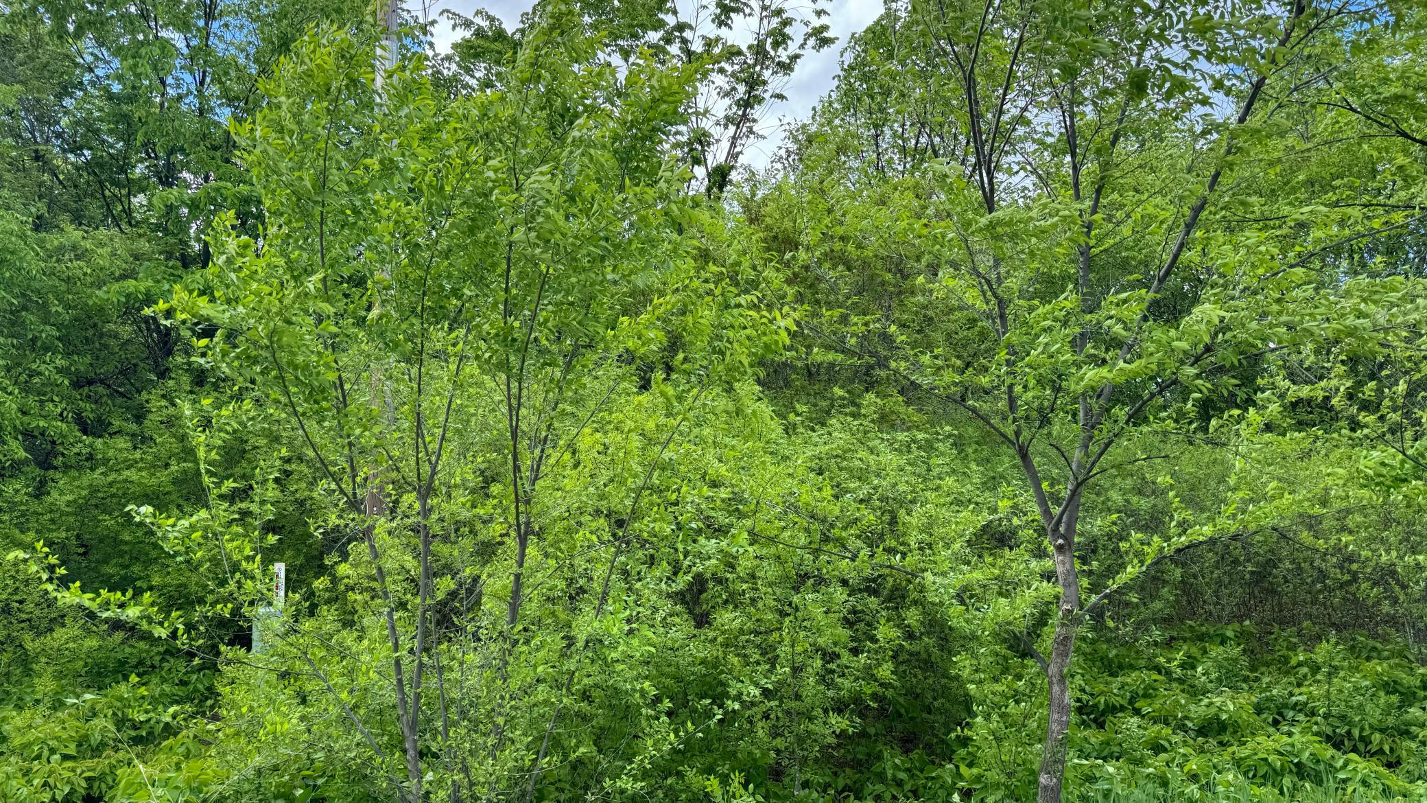 Lot 15 Sunset Strip Nw Property Photo 40
