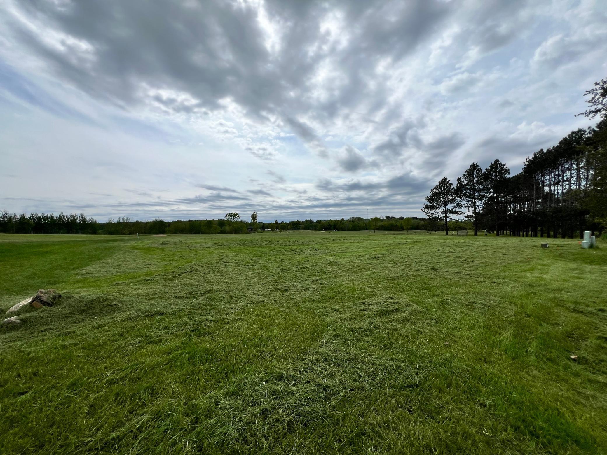 Lot 7 Congdon Property Photo 6