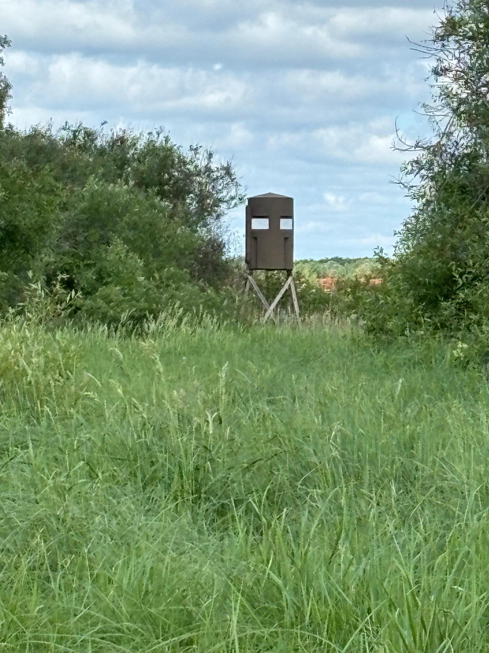 Tbd County Road 7 Property Photo 1