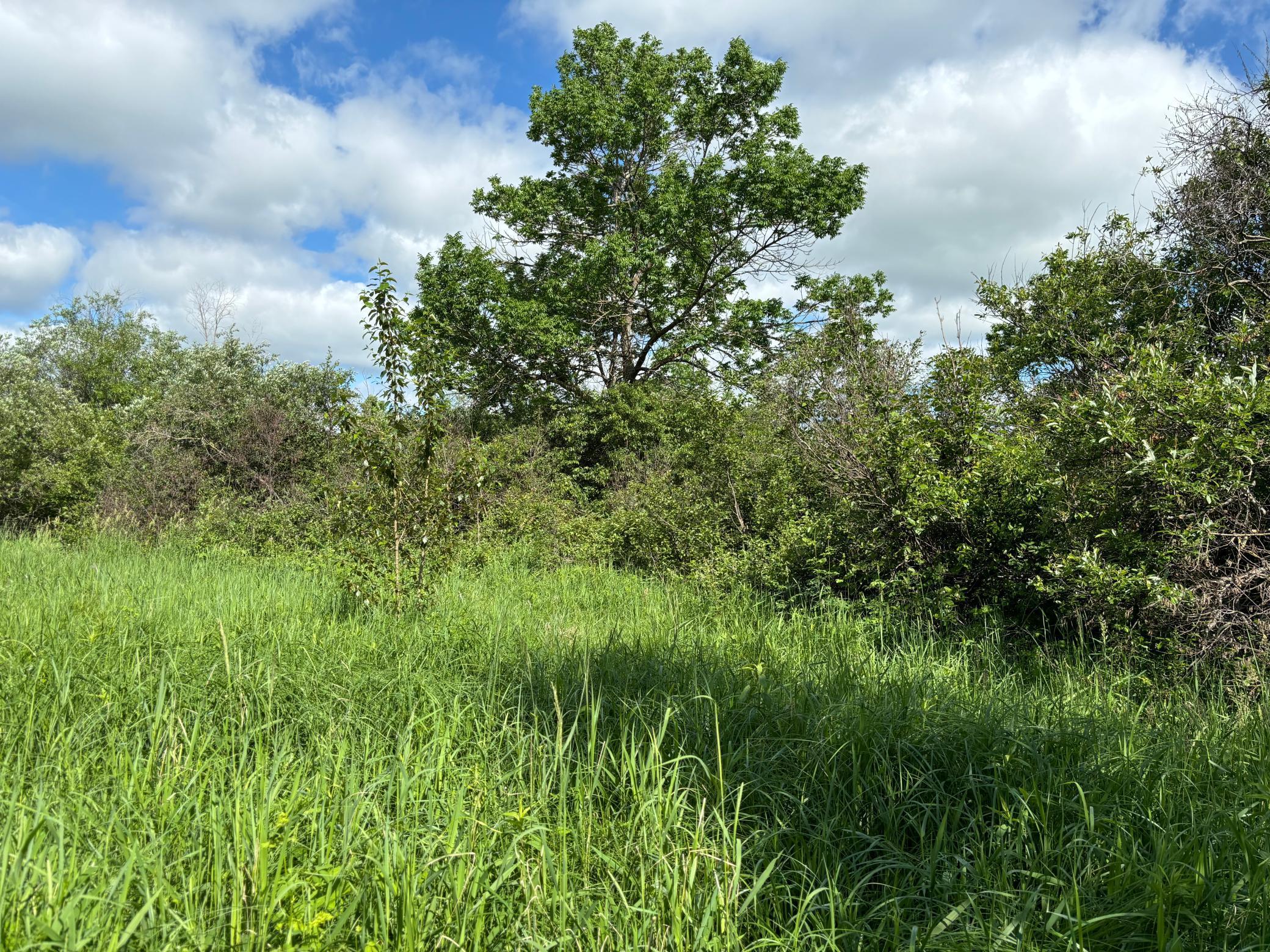 Tbd County Road 7 Property Photo 2