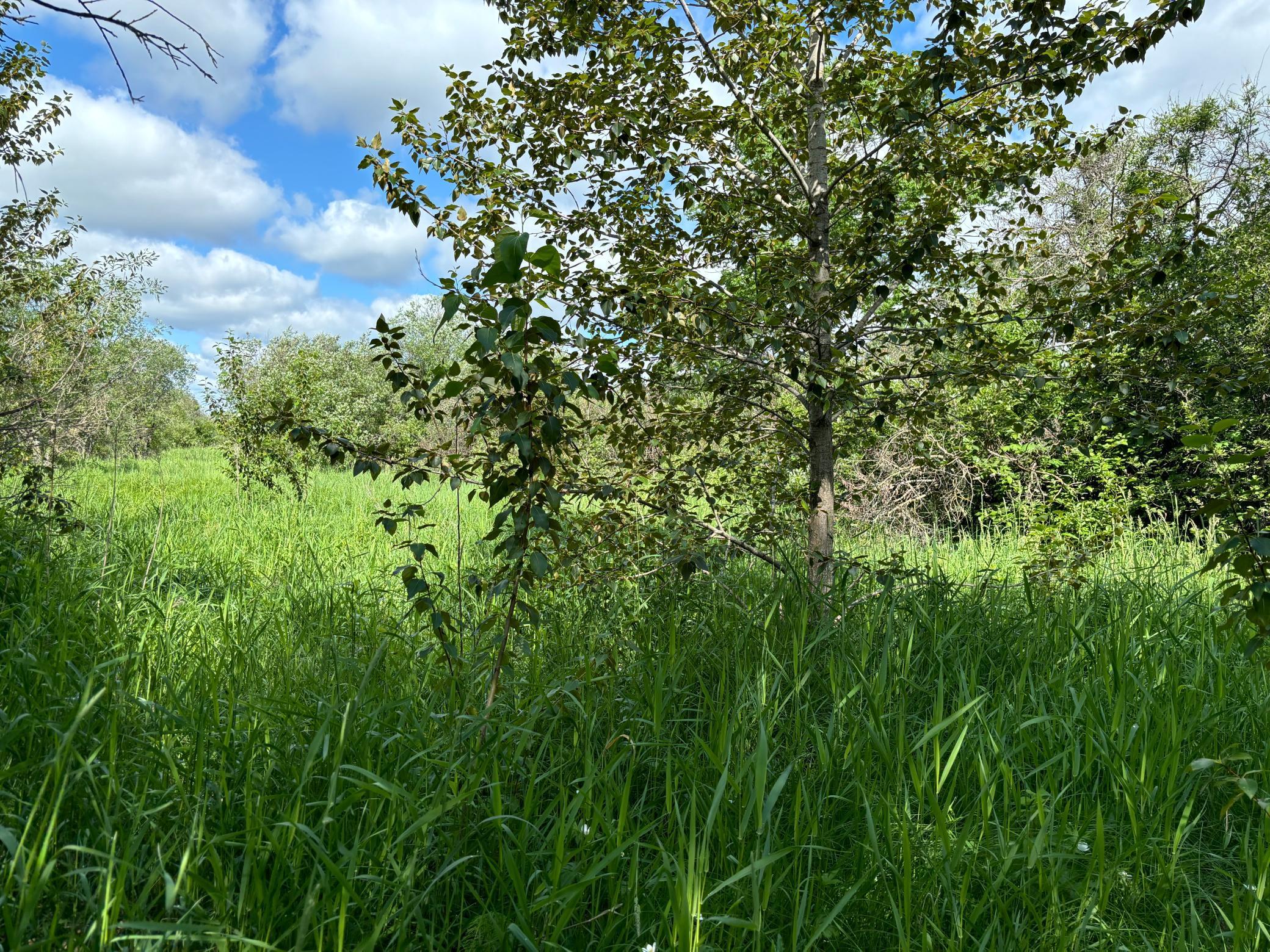 Tbd County Road 7 Property Photo 3