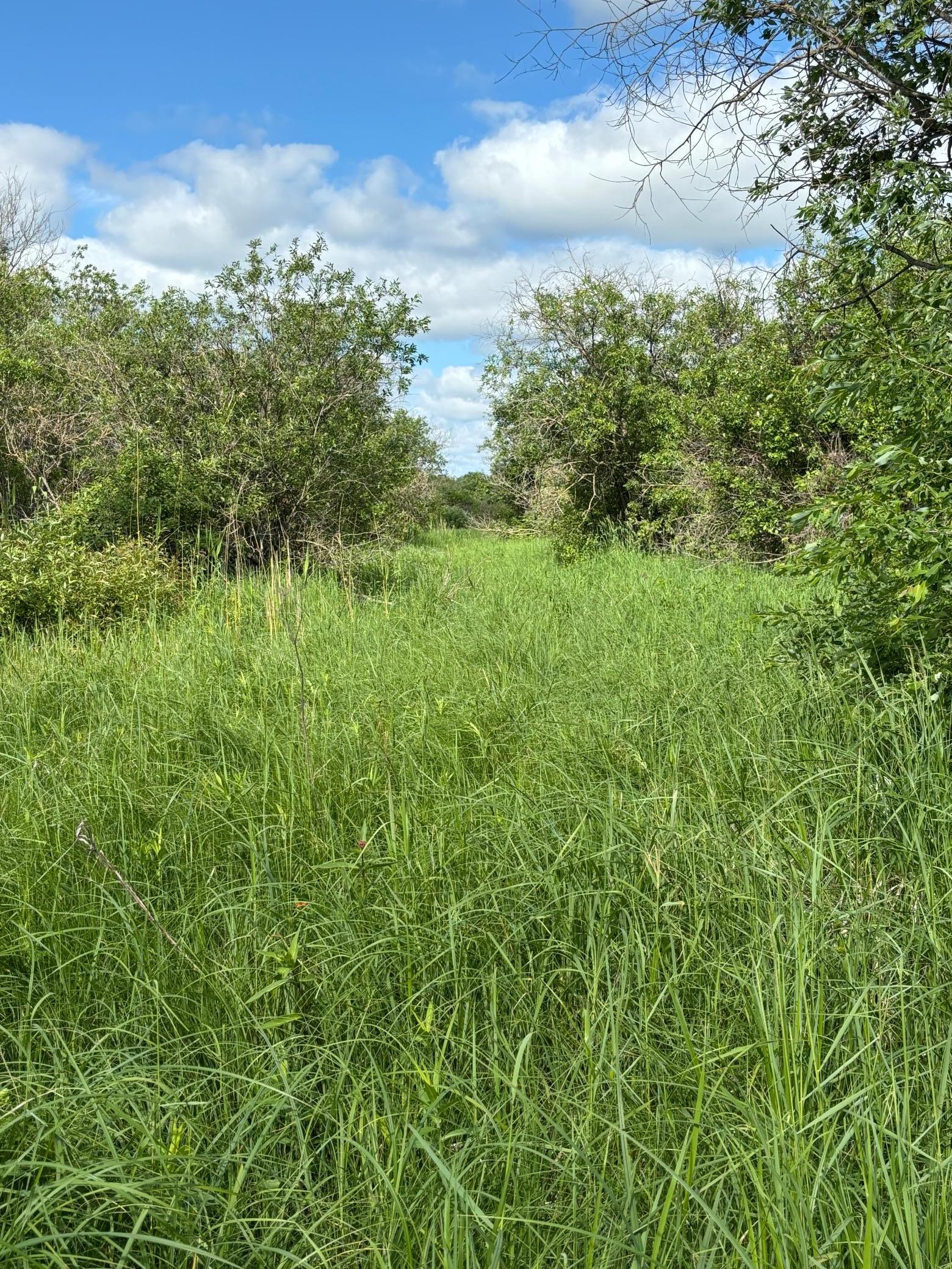 Tbd County Road 7 Property Photo 4