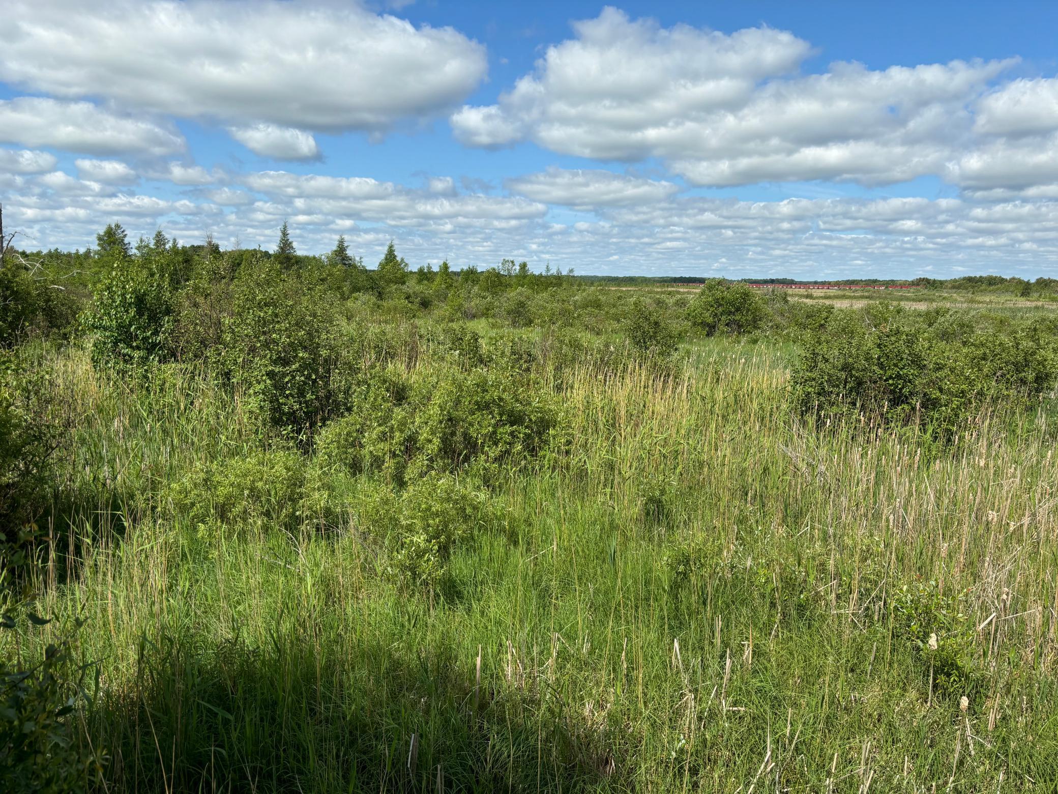 Tbd County Road 7 Property Photo 5
