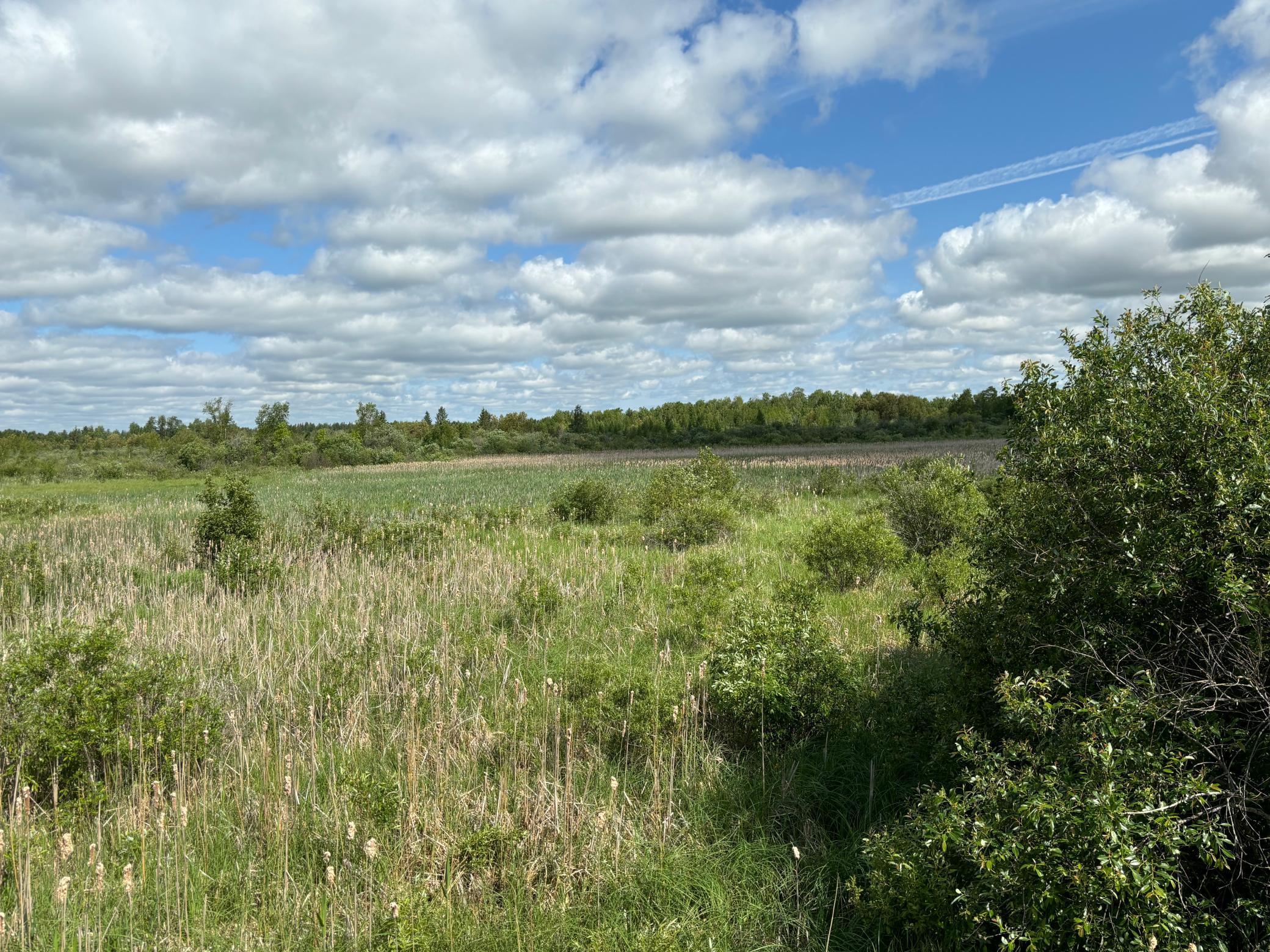 Tbd County Road 7 Property Photo 6