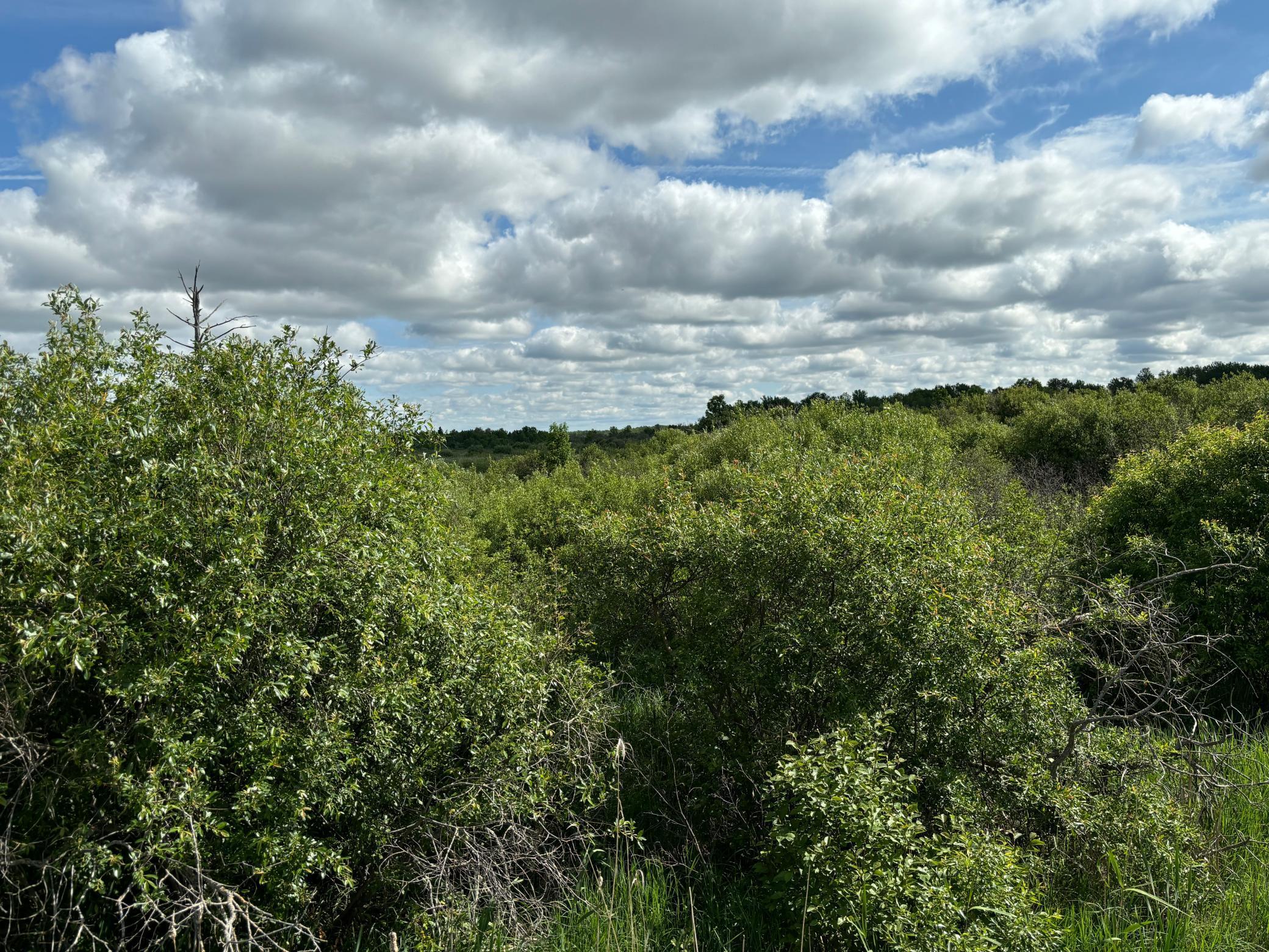 Tbd County Road 7 Property Photo 8