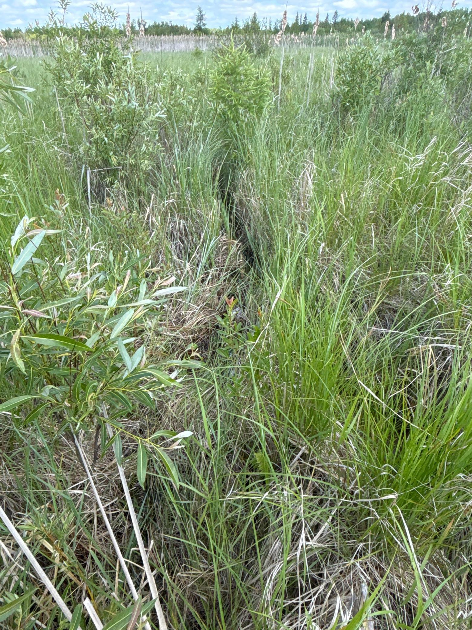 Tbd County Road 7 Property Photo 9