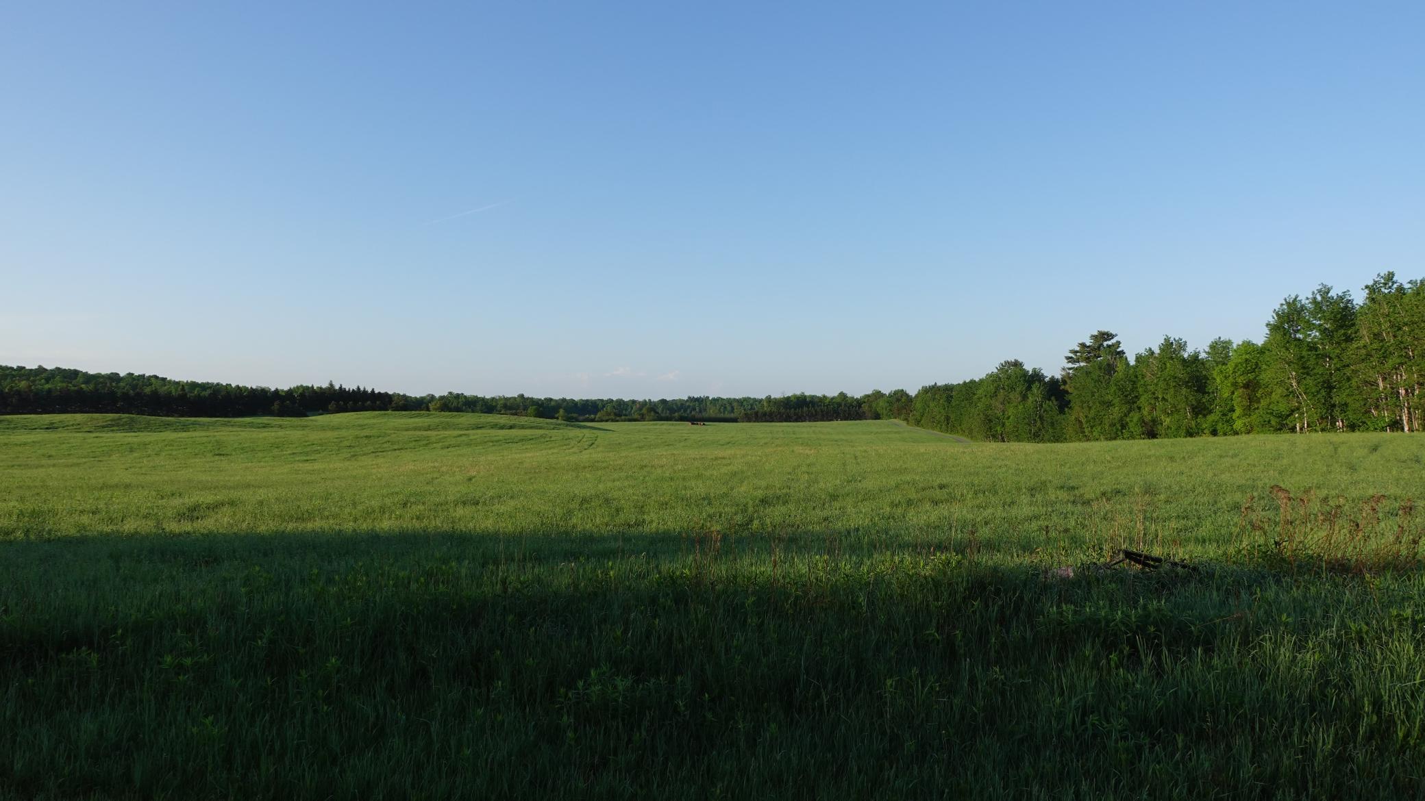 Tbd Bakkum Road Property Photo 1