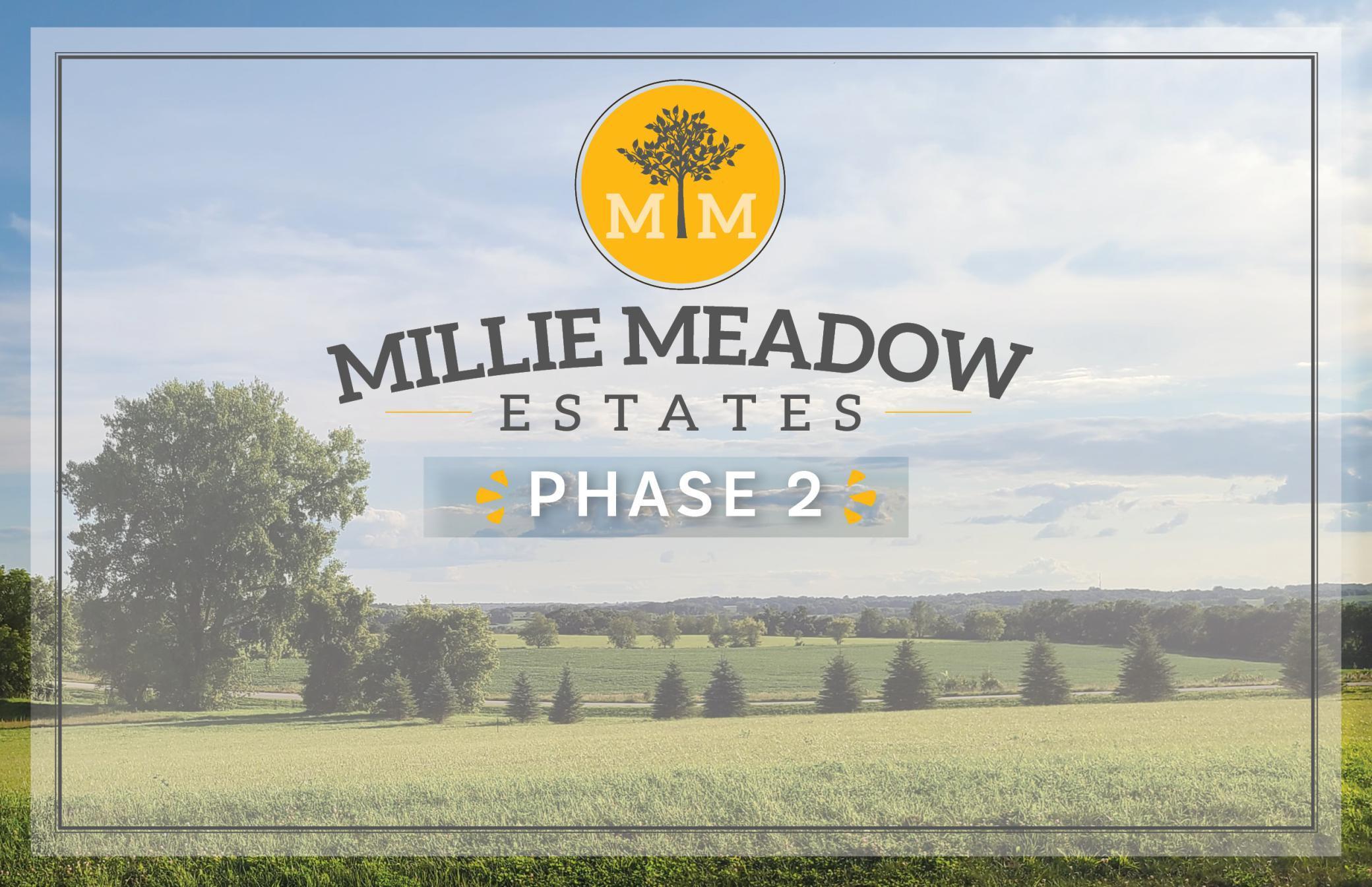 4381 Millie Meadow Drive SW Property Photo 1