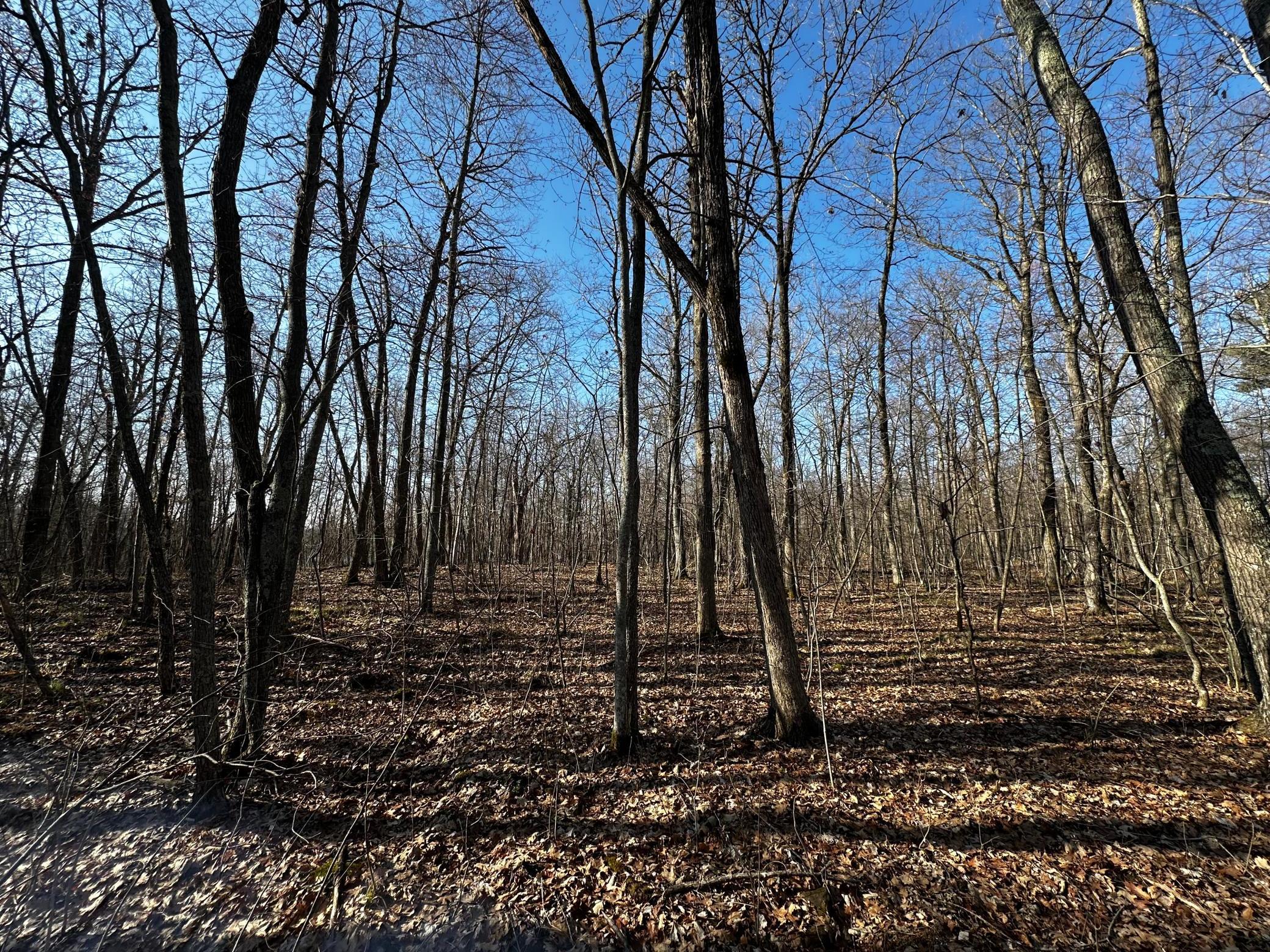 Xxx Wilson Lake Drive Property Photo 3