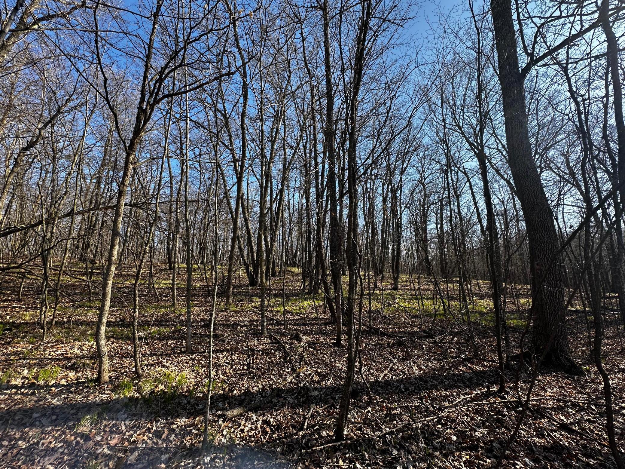 Xxx Wilson Lake Drive Property Photo 4