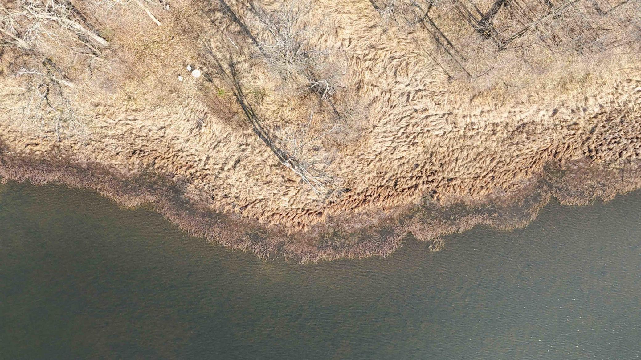 Xxx Wilson Lake Drive Property Photo 9