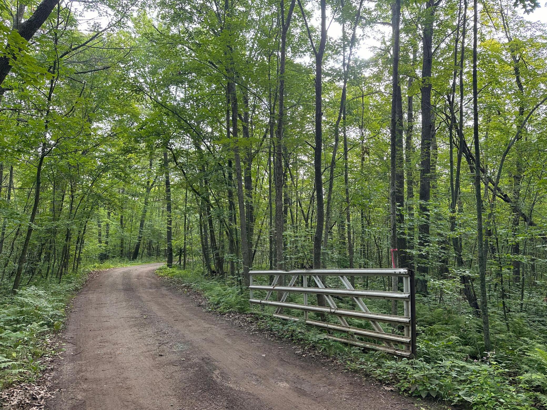 Xxx Wilson Lake Drive Property Photo 10