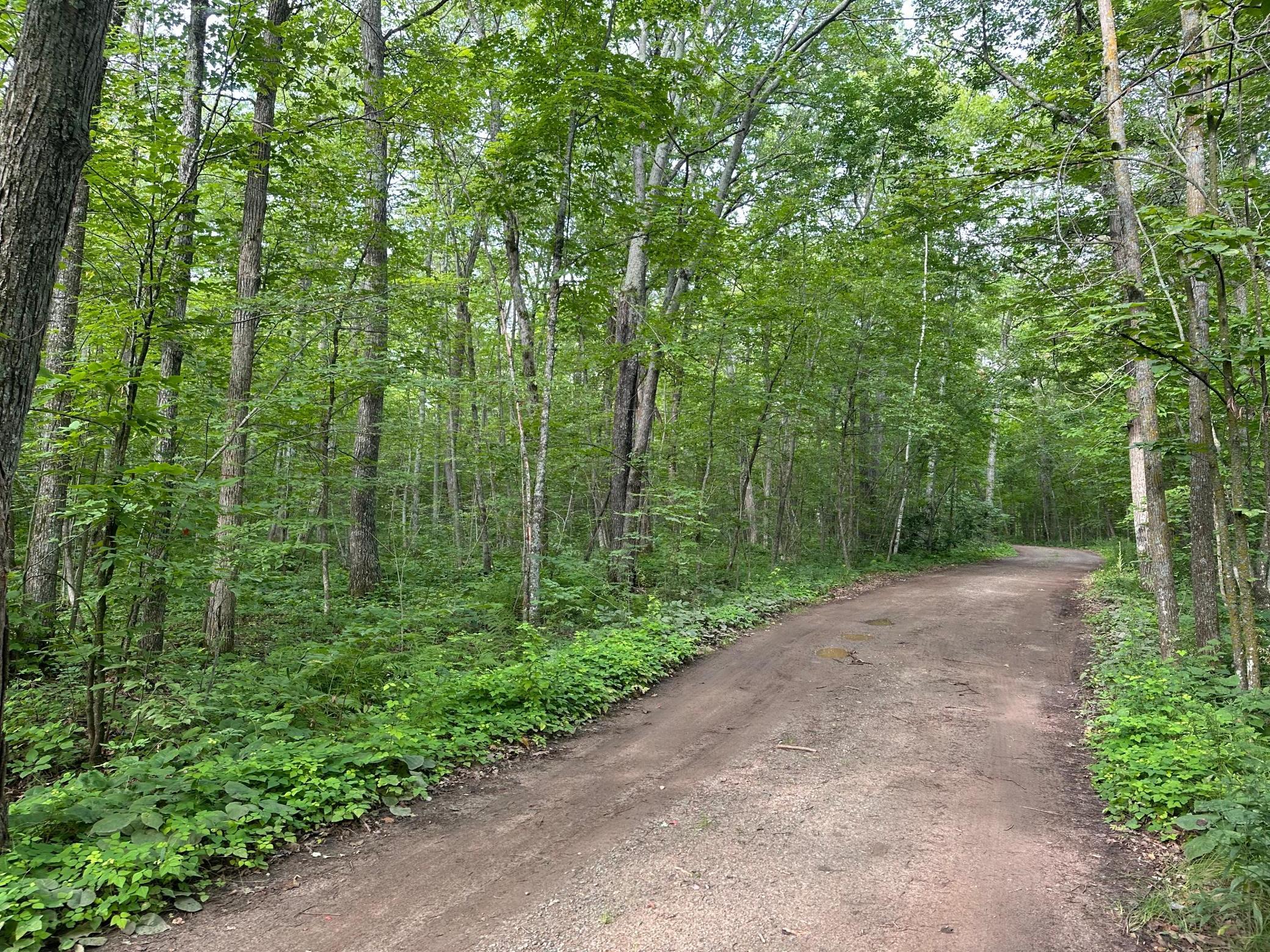 Xxx Wilson Lake Drive Property Photo 11