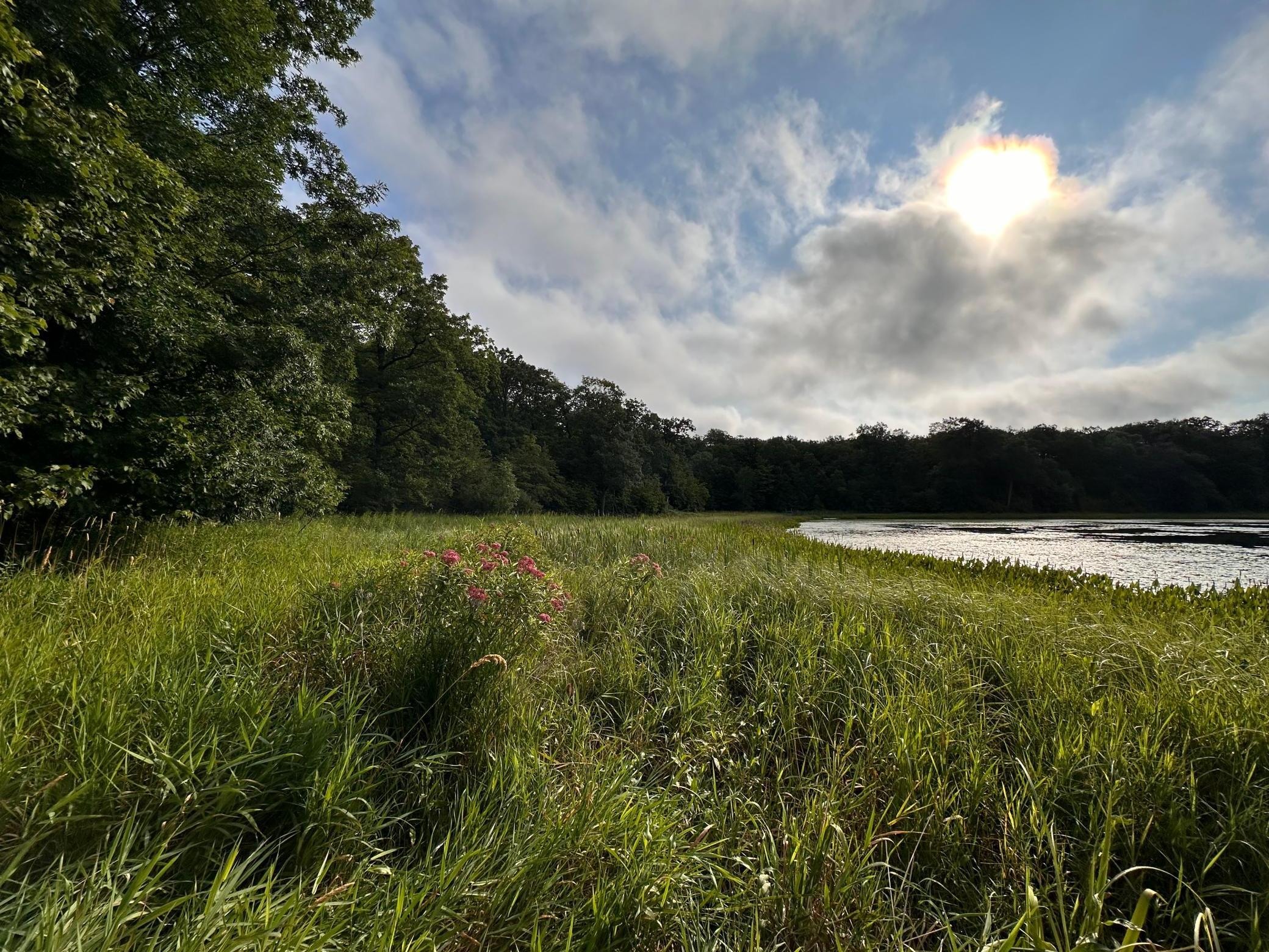Xxx Wilson Lake Drive Property Photo 13