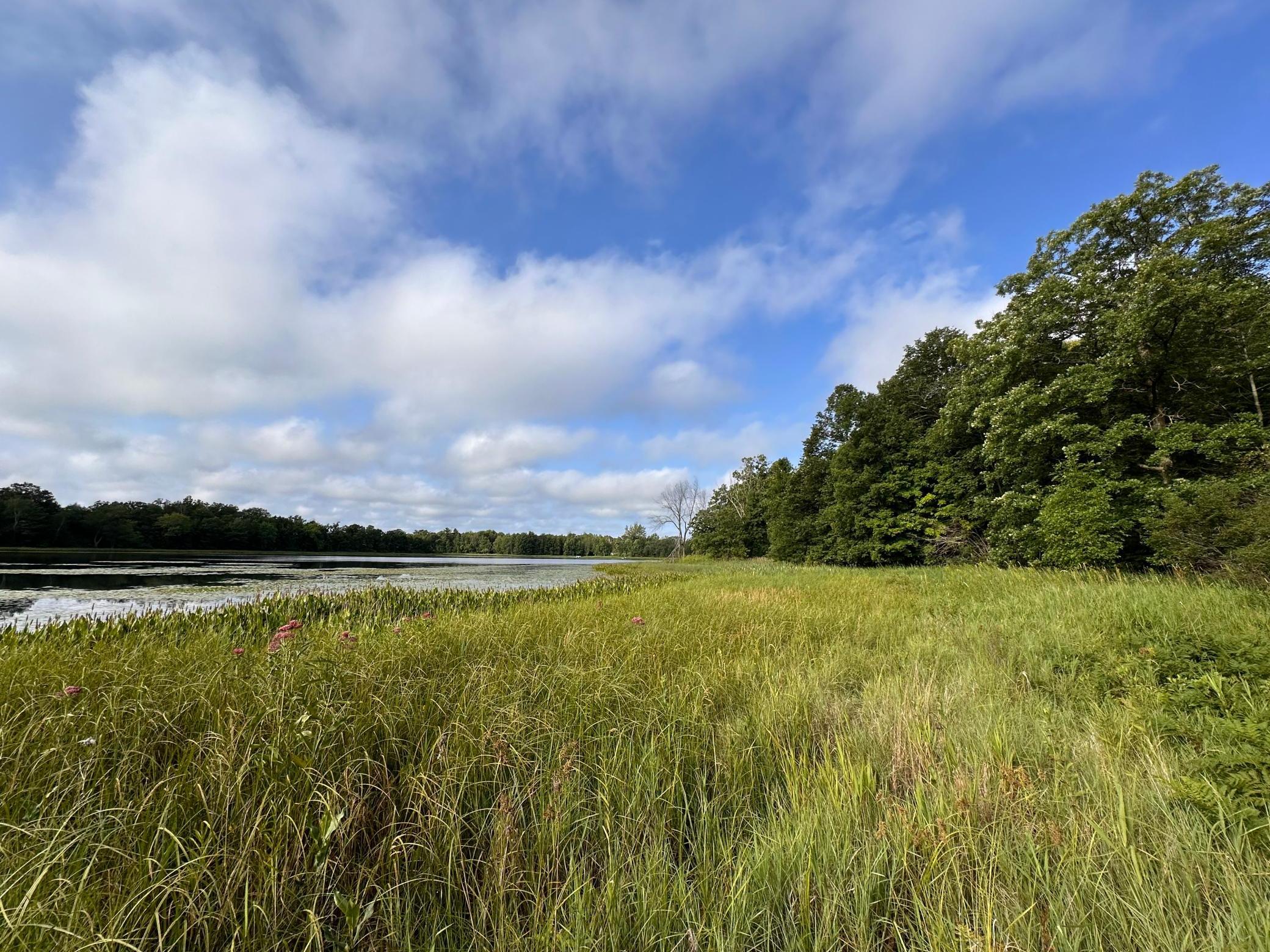 Xxx Wilson Lake Drive Property Photo 14