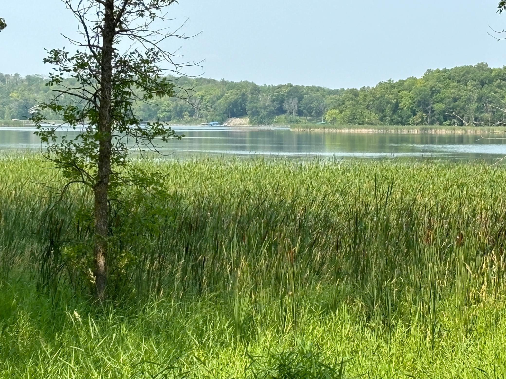 1254 Island Lake Resort Drive Property Photo