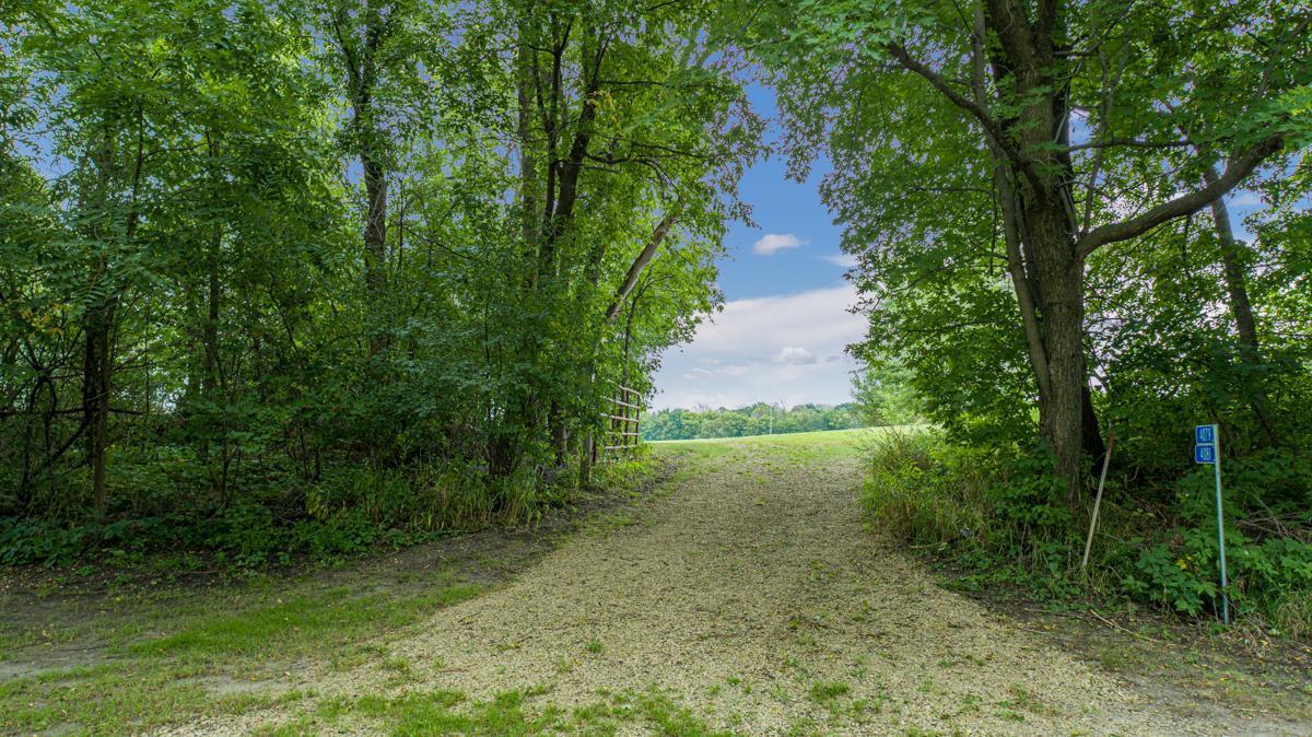 4081 Dassel Avenue Property Photo 13