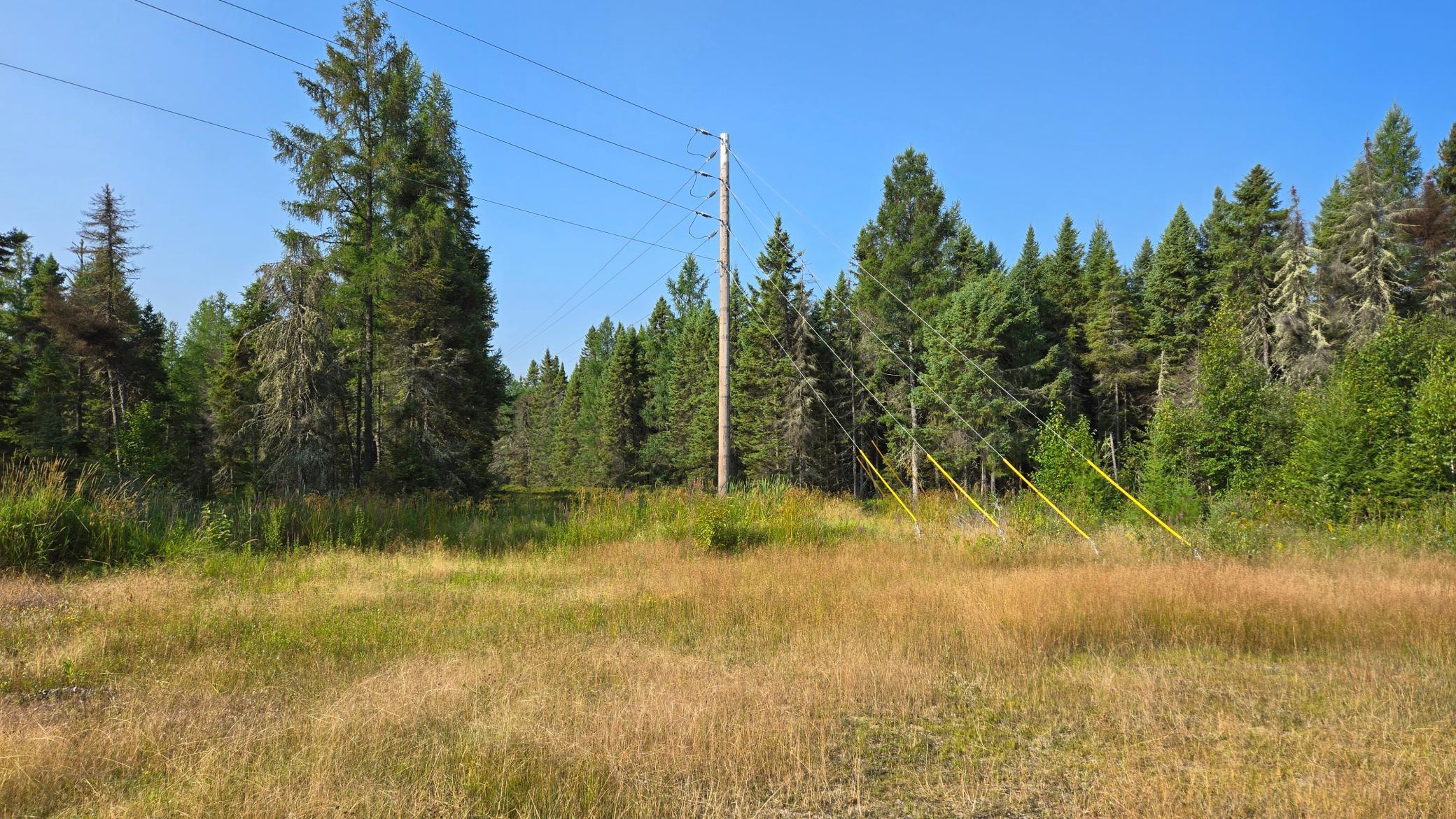 4303 Highway 53 Property Photo 27