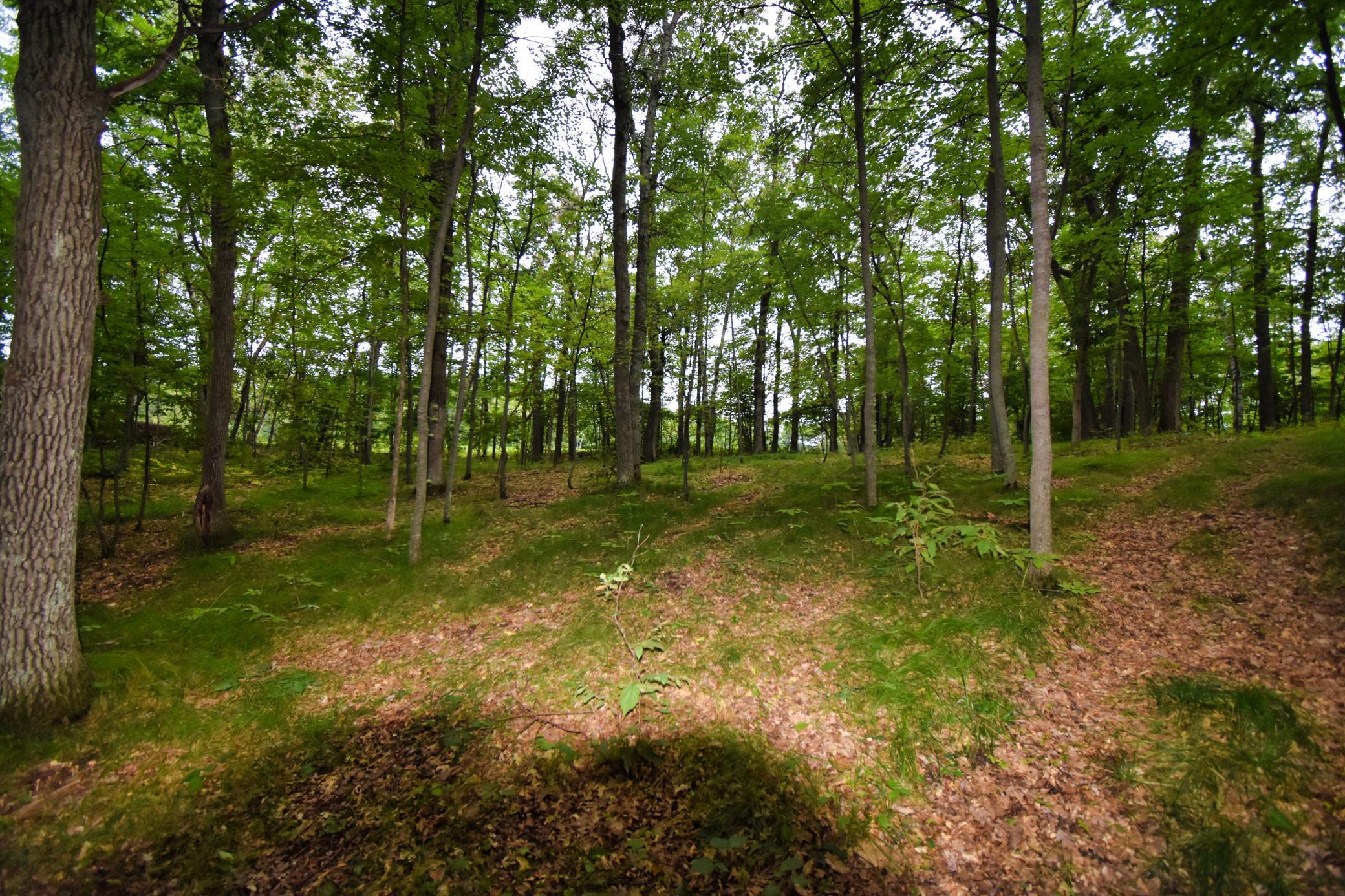 Tbd Osceola Circle Property Photo 1
